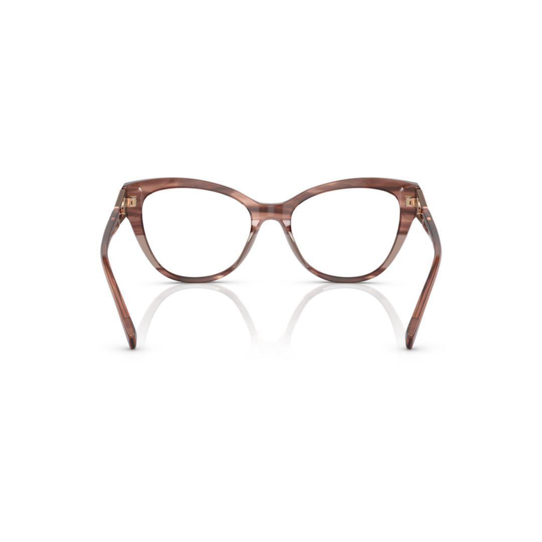 3212 Vista Translucent Brown Acetate Cat-Eye Eyeglasses with Gold Accents