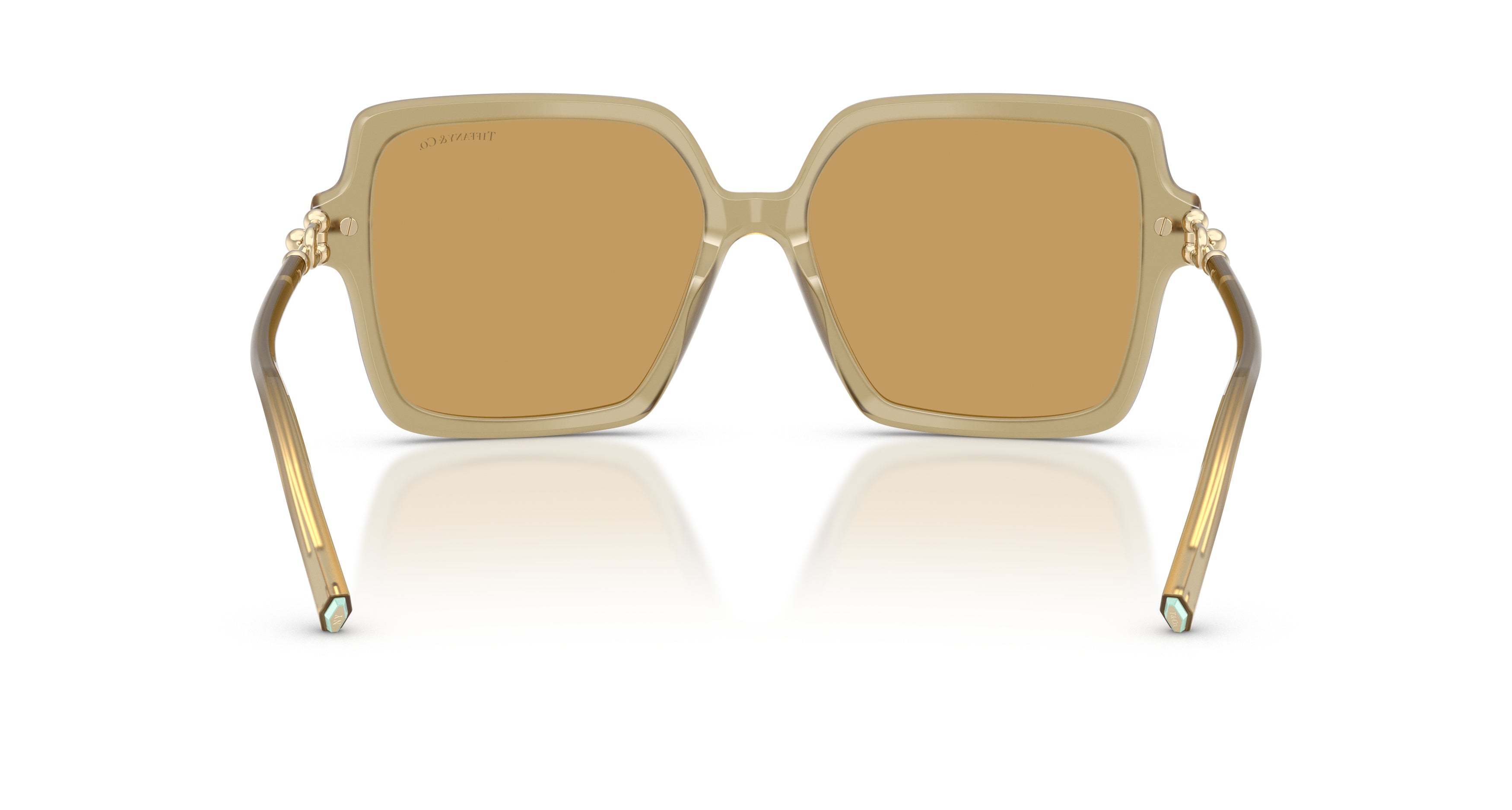 0tf4260u Translucent Beige Acetate Sunglasses