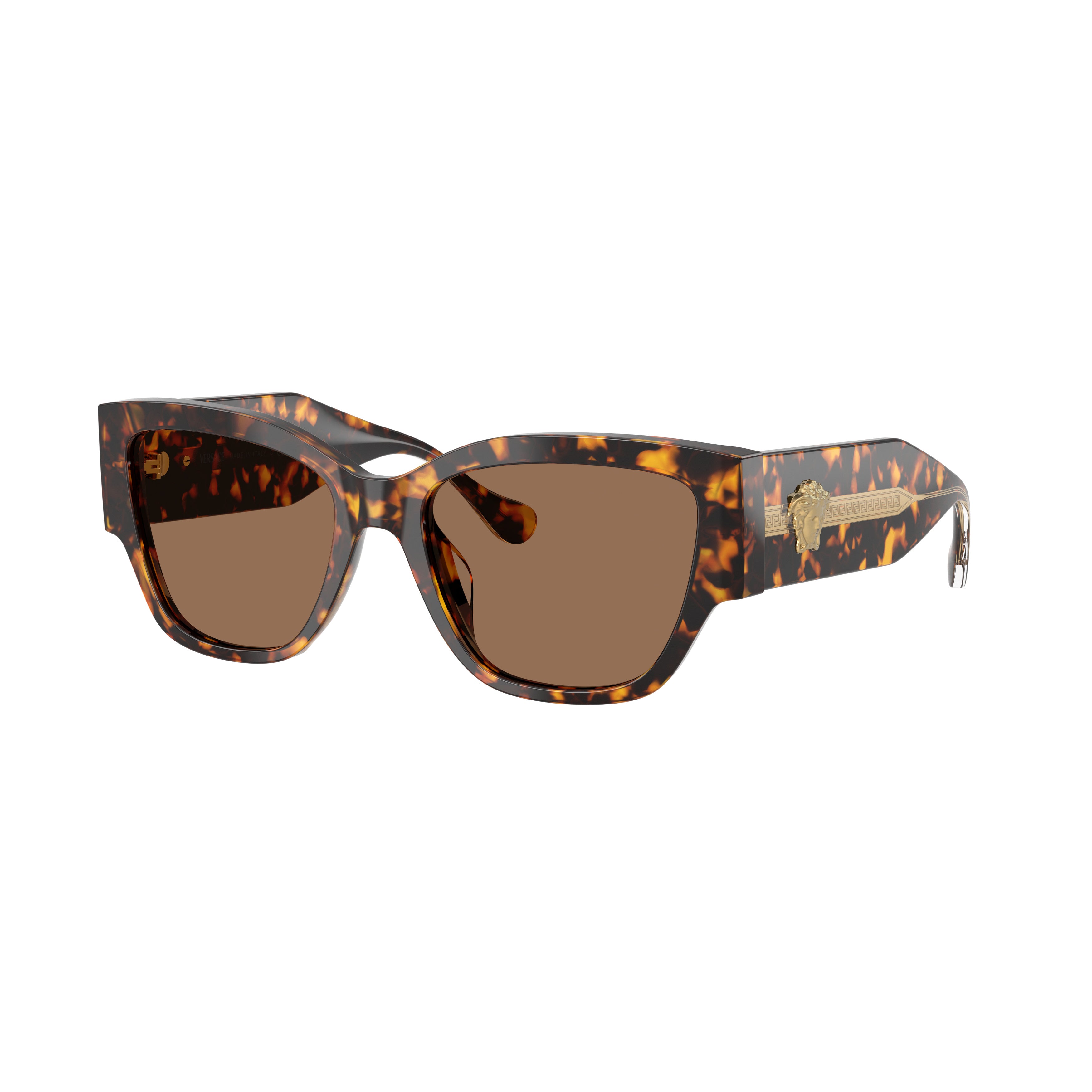 0ve4509u Oversized Tortoiseshell Acetate Sunglasses