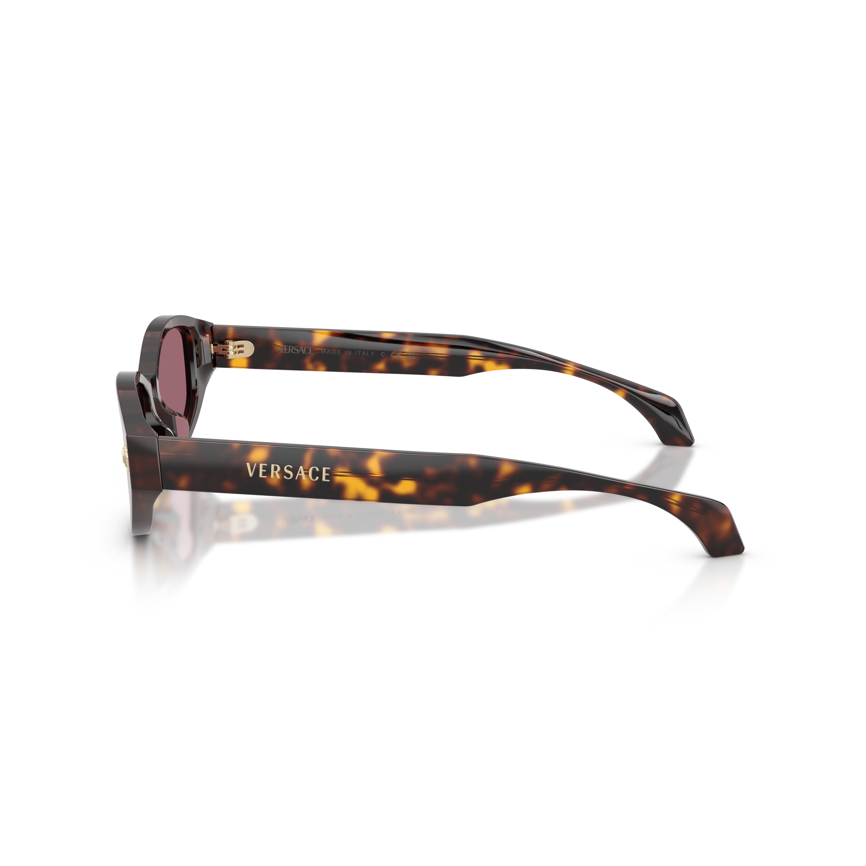 0ve4512d Tortoiseshell Acetate Oval Sunglasses