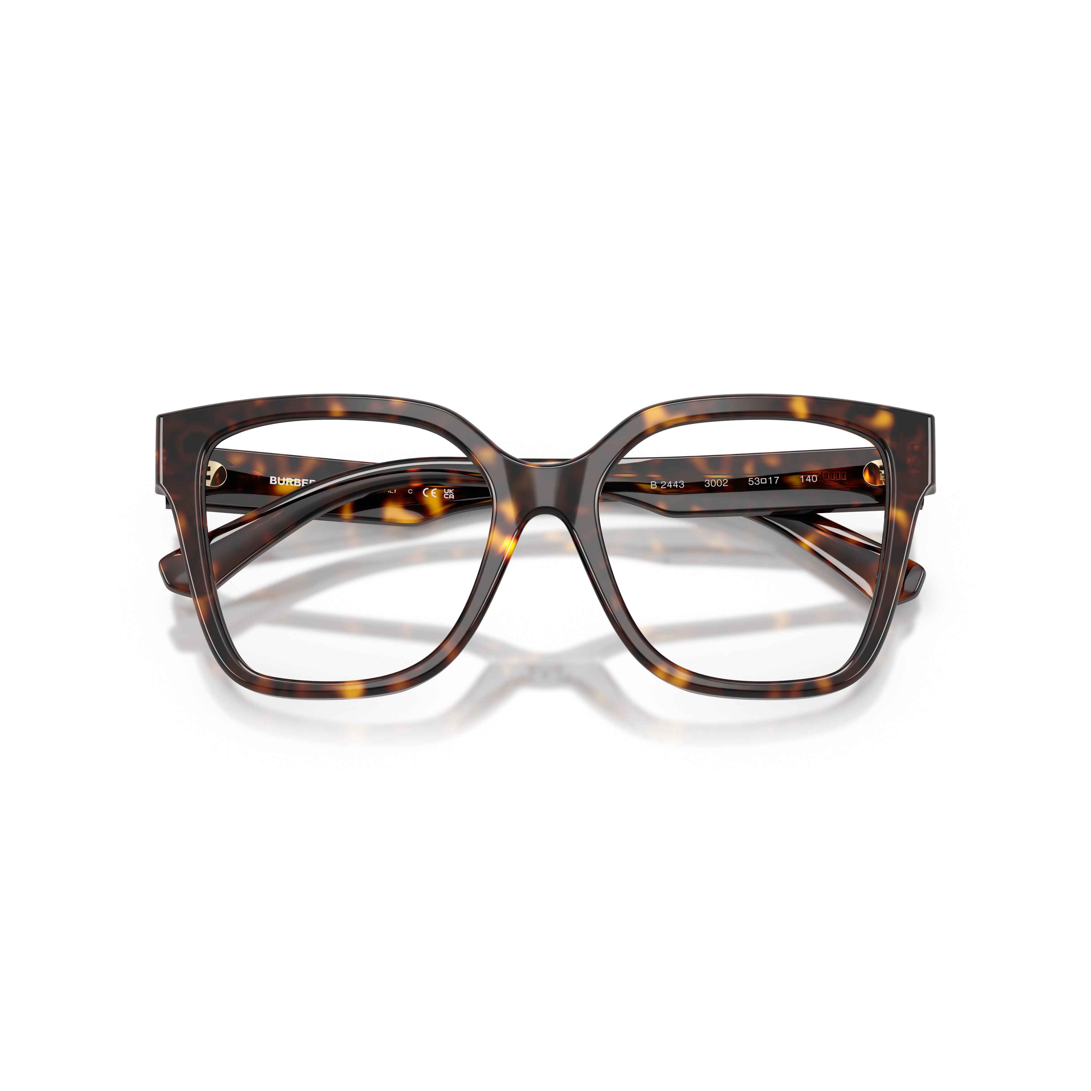 0be2443 Oversized Tortoiseshell Acetate Eyeglasses