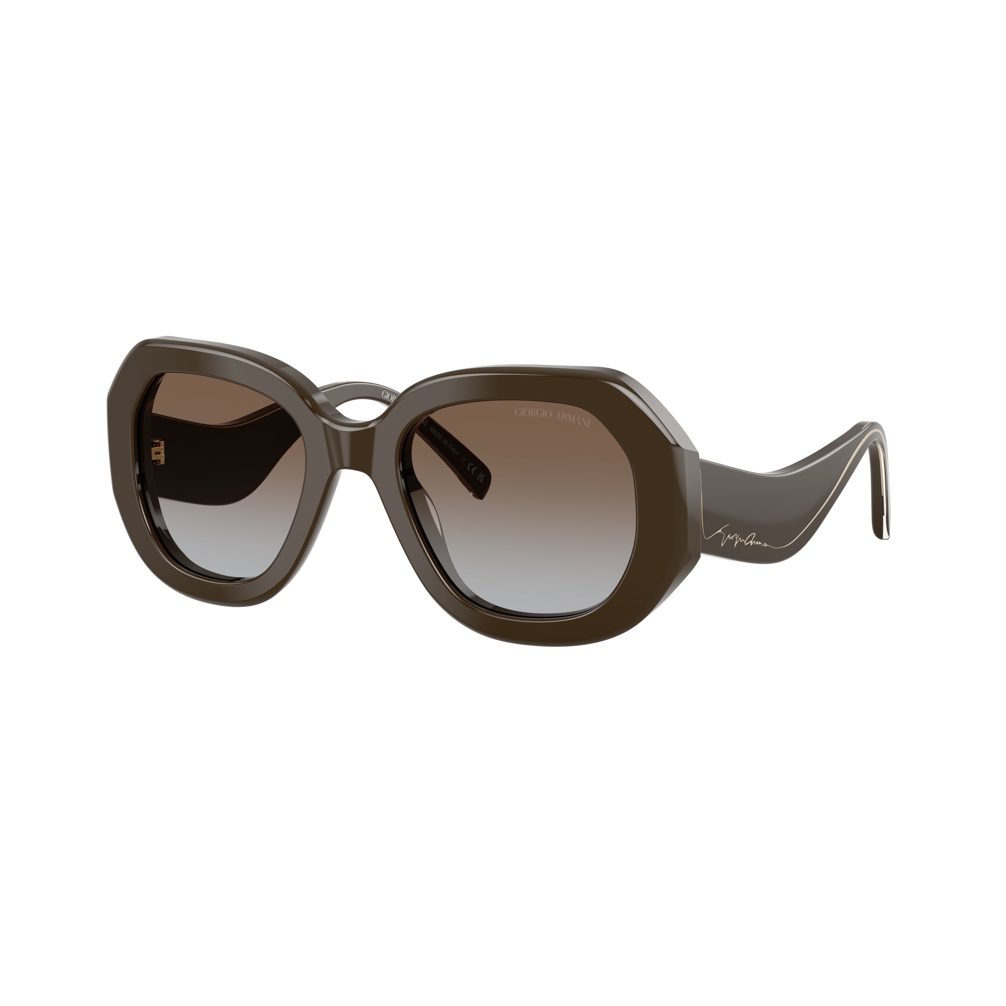 0ar8248 Oversized Geometric Sunglasses with Glossy Finish