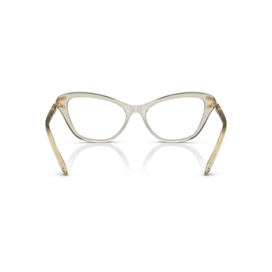 0sk2031 Translucent Acetate Cat-Eye Oversized Sunglasses