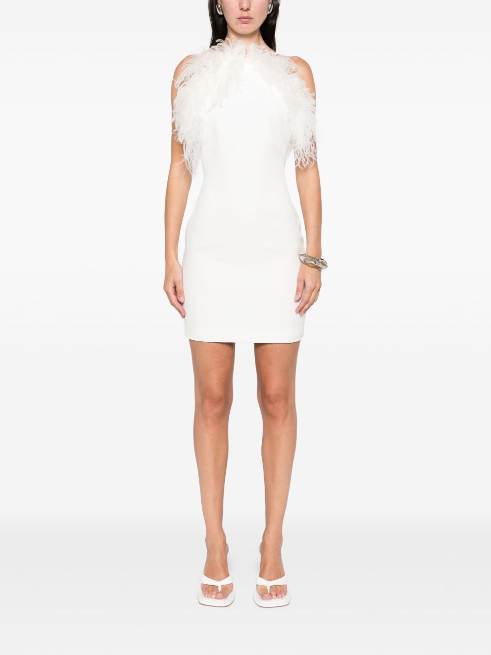 Mini Dress with Feather Embellished Neckline