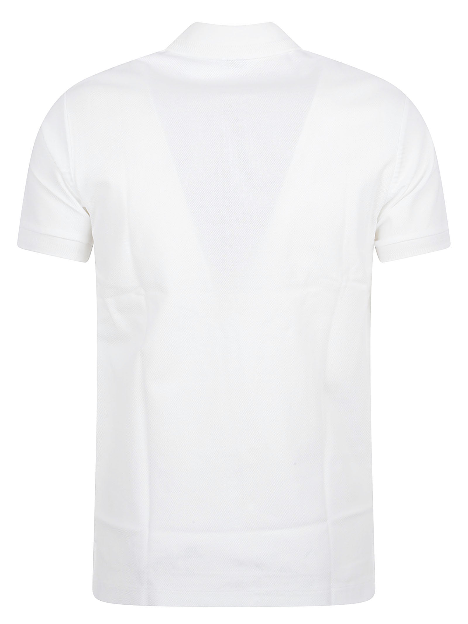 Cotton Polo Shirt with Classic Collar