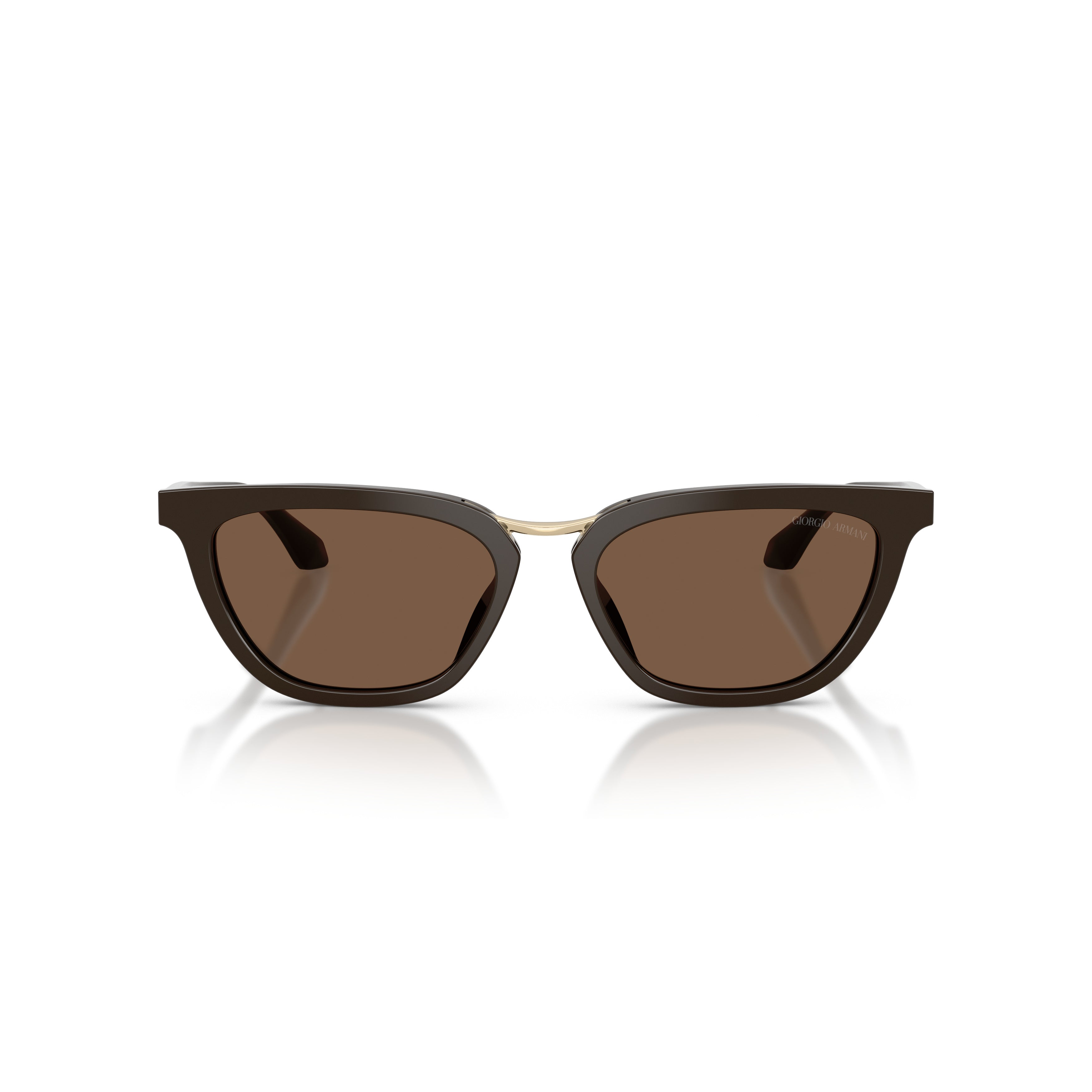 0ar8253u Angular Acetate Sunglasses with Gold Metal Bridge