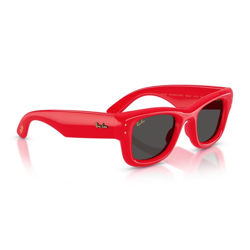 Rb4940 Wayfarer Puffer