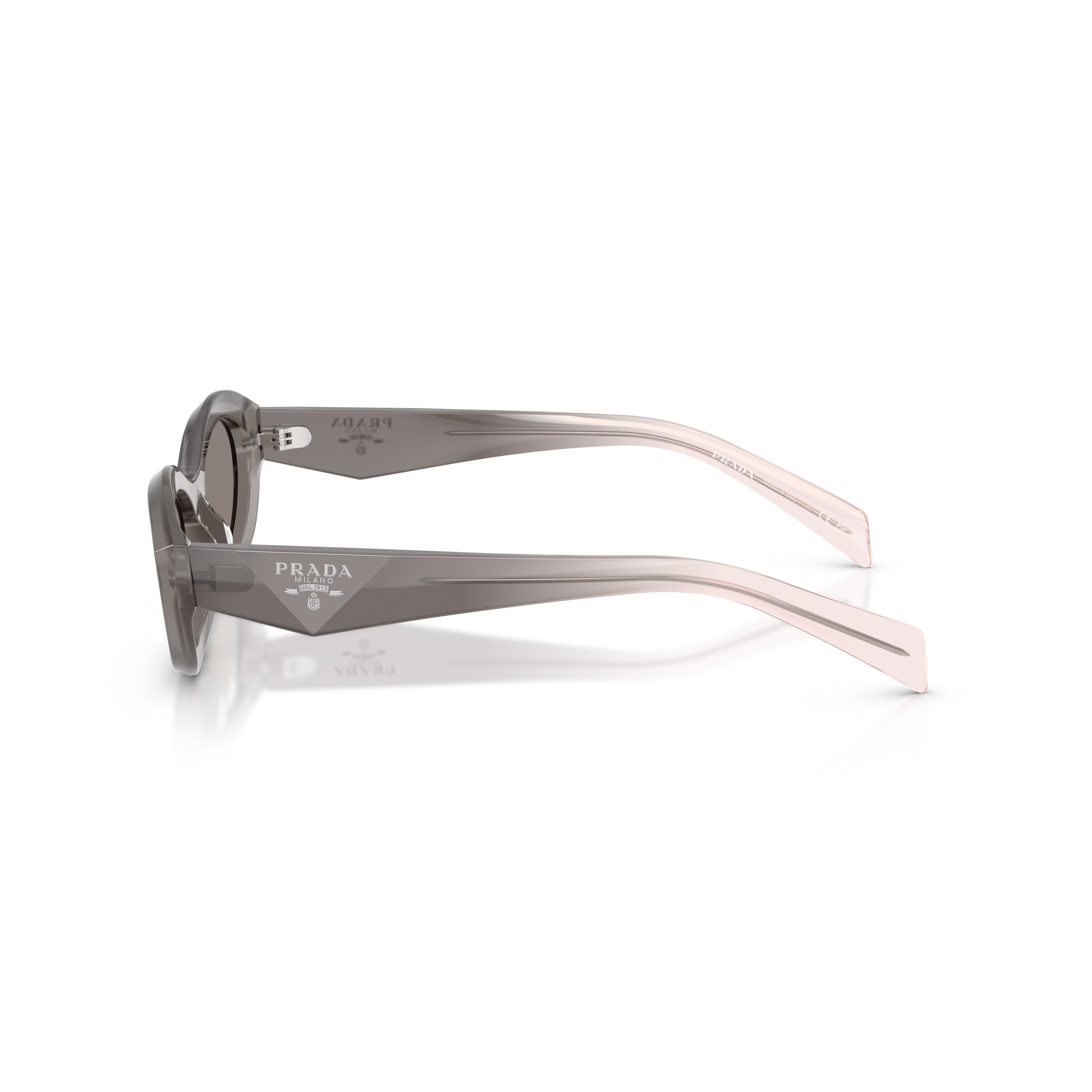 0pr 26zs Oval Frame Sunglasses