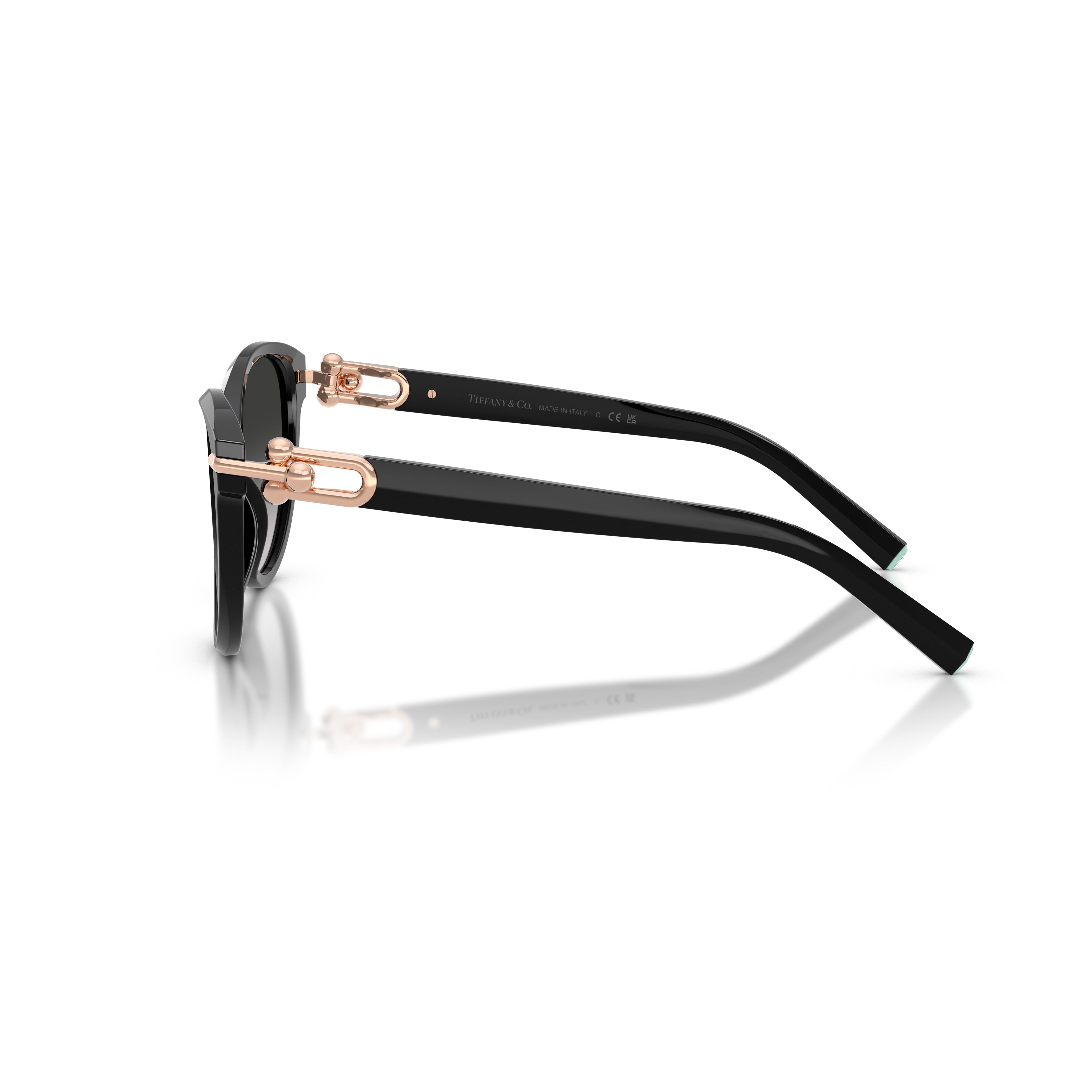 0tf4261 Cat-Eye Sunglasses