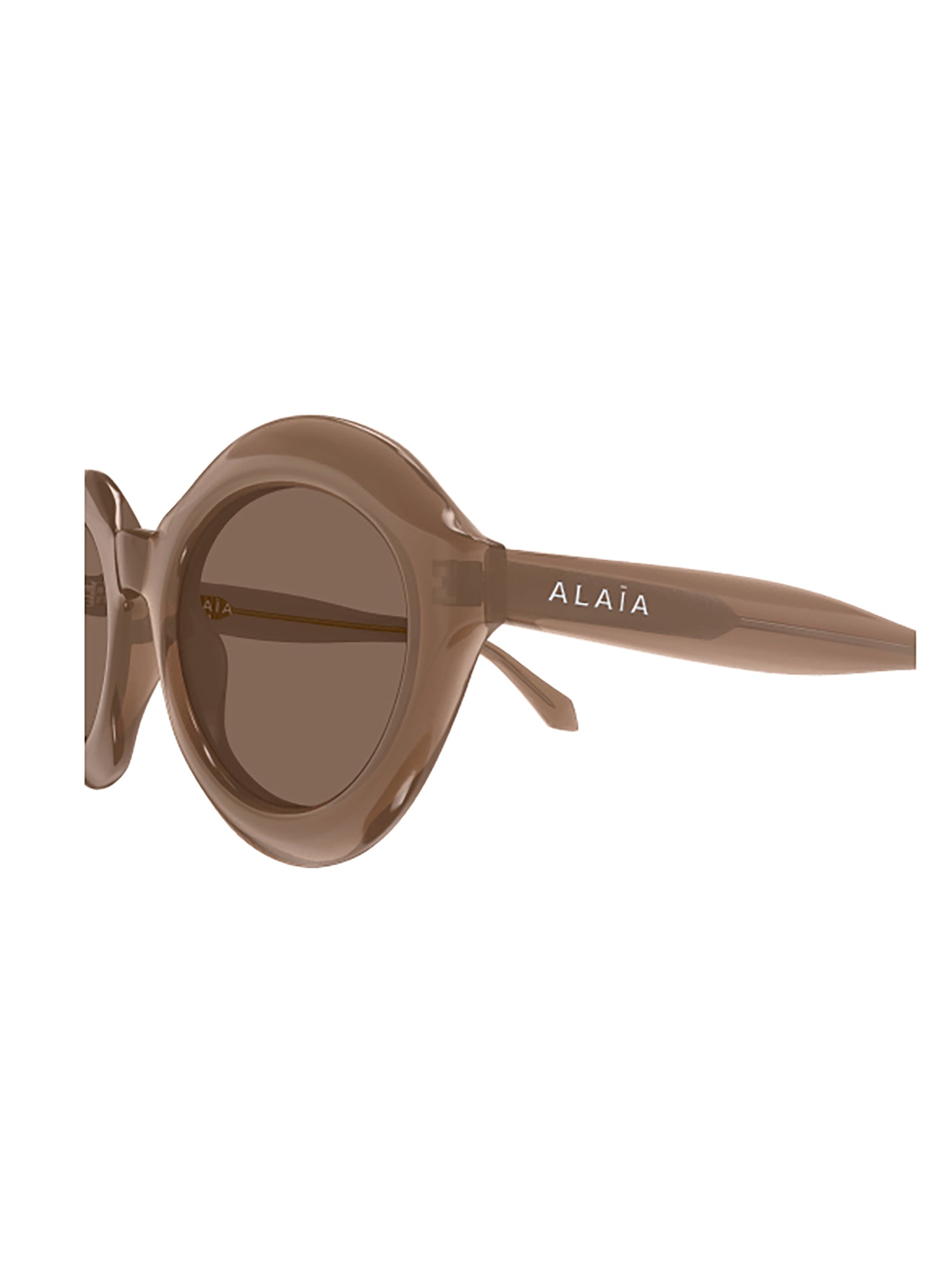 Oval-Shaped Sunglasses with Glossy Frame
