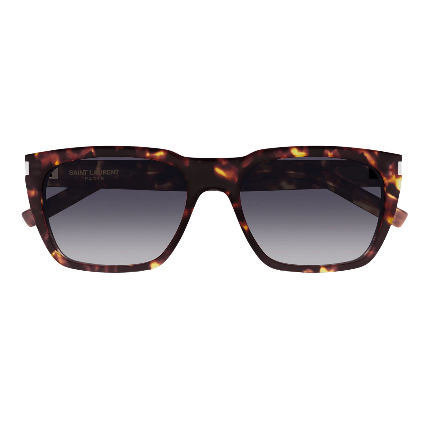 Sunglasses SL 598 004 havana havana grey 56/18/145