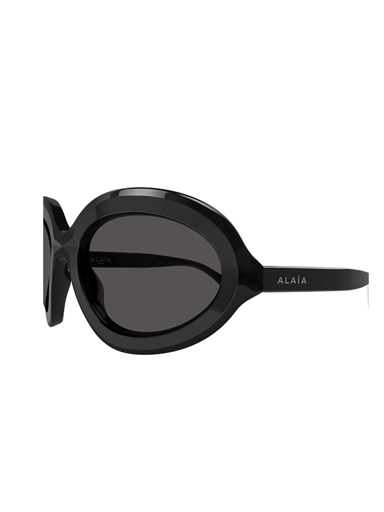Glossy Black Oval Sunglasses