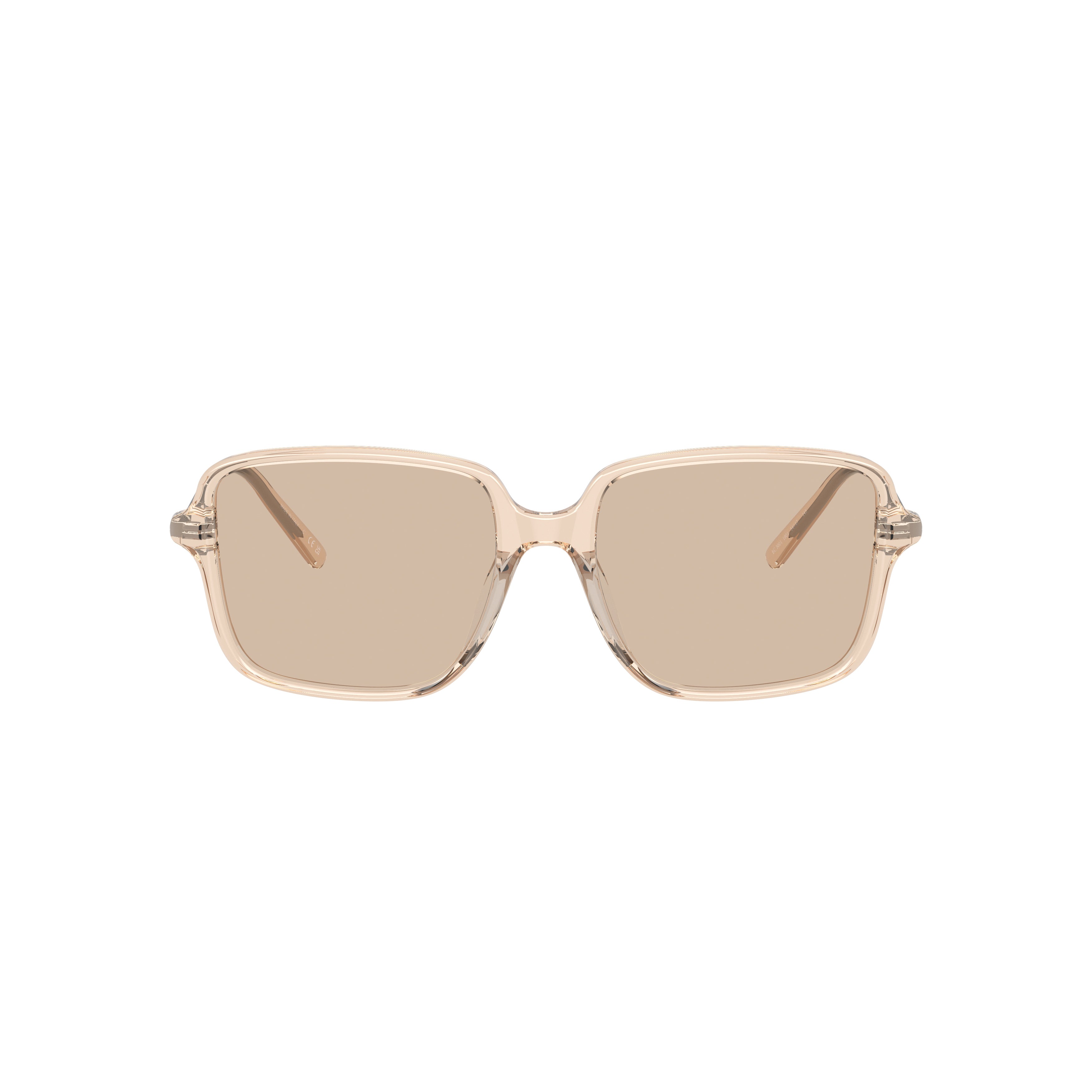 0bc3001 Translucent Acetate Square Sunglasses with Metallic Accents
