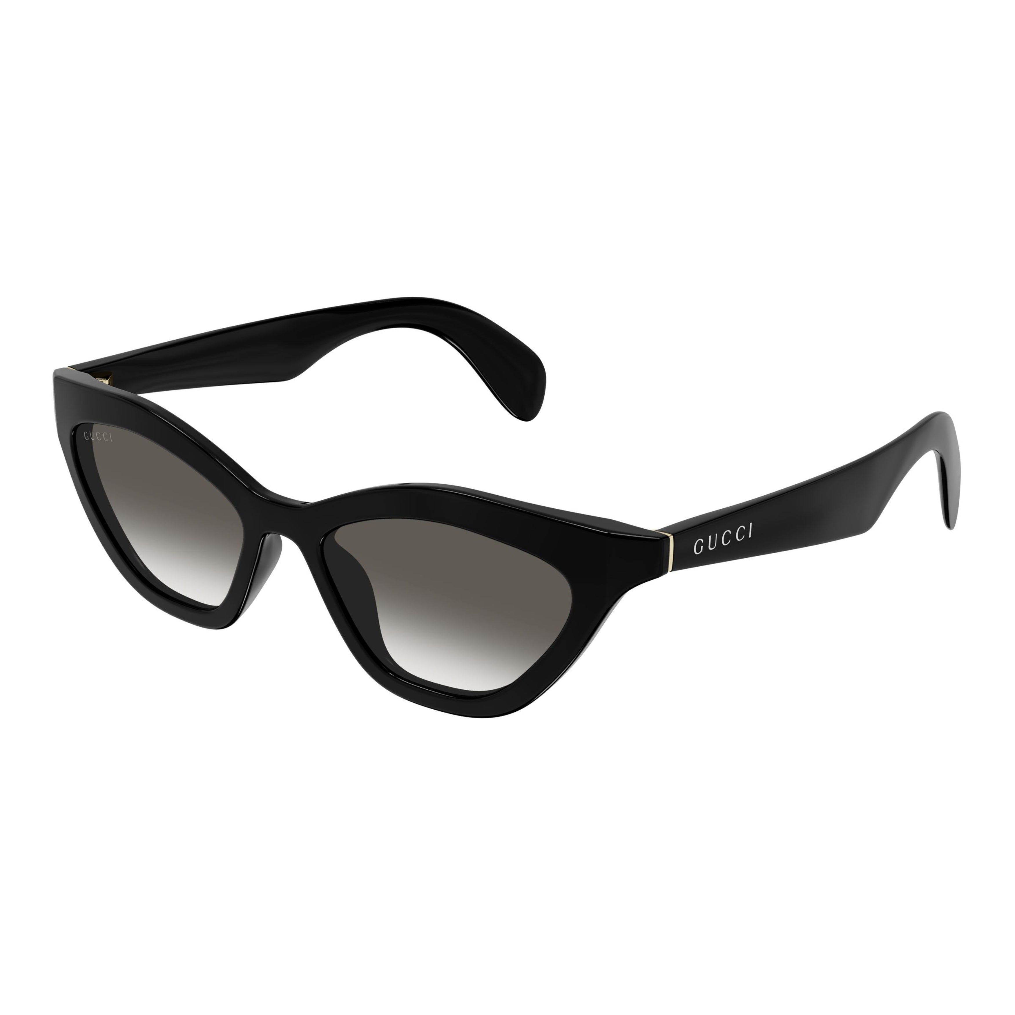 Gg1931s Bold Glossy Black Cat-Eye Sunglasses