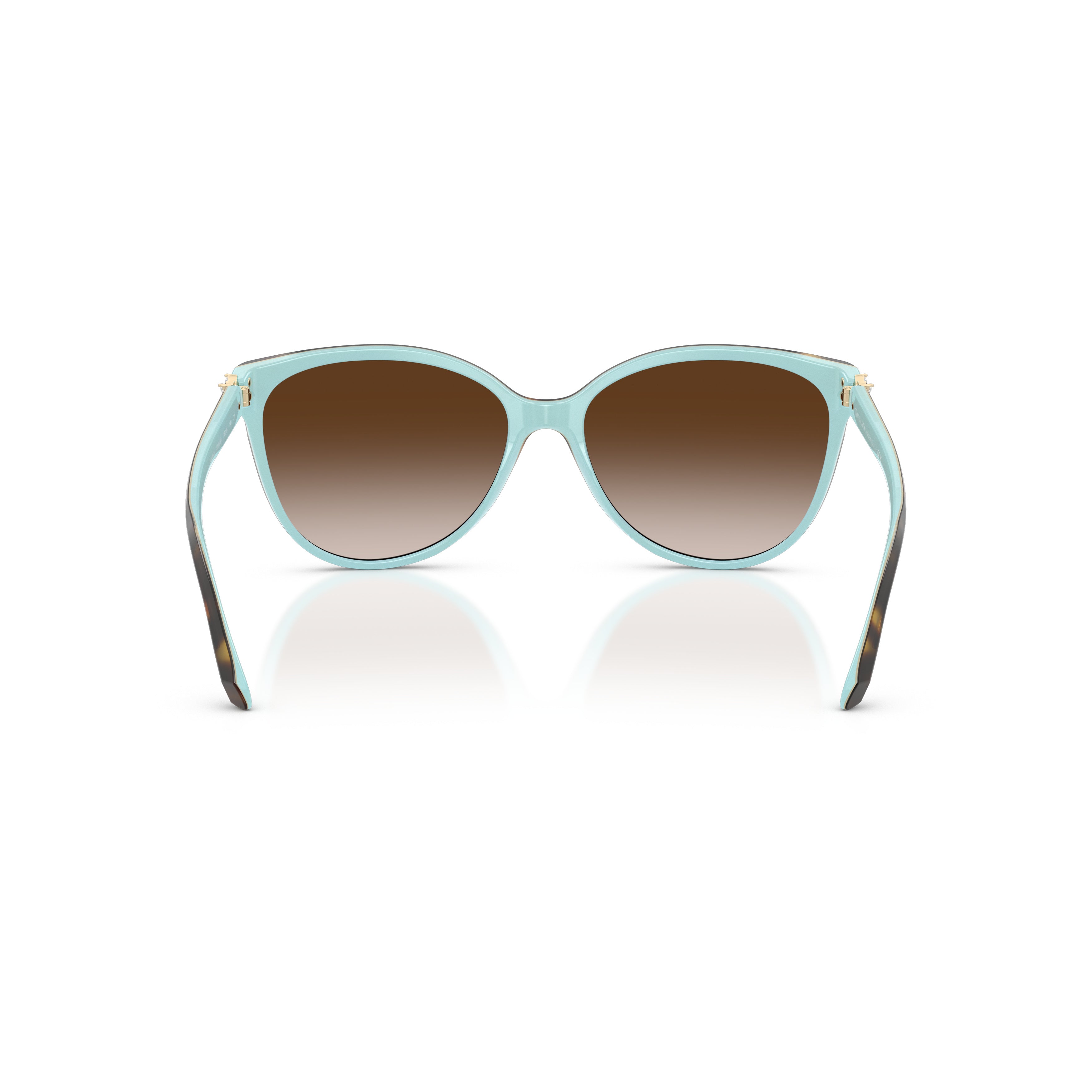 0tf4089b Cat-Eye Sunglasses