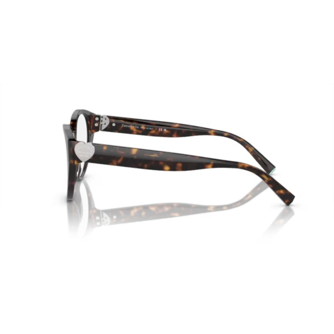 2244 Vista Classic Cat-Eye Tortoiseshell Sunglasses