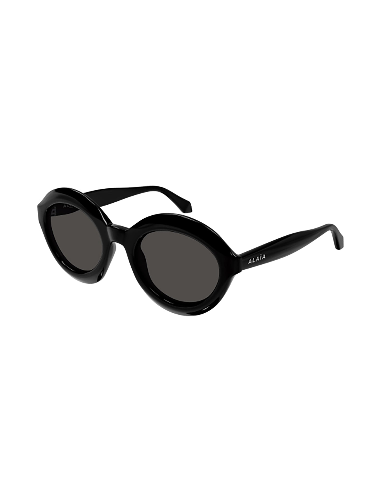 Oval-Shaped Black Sunglasses