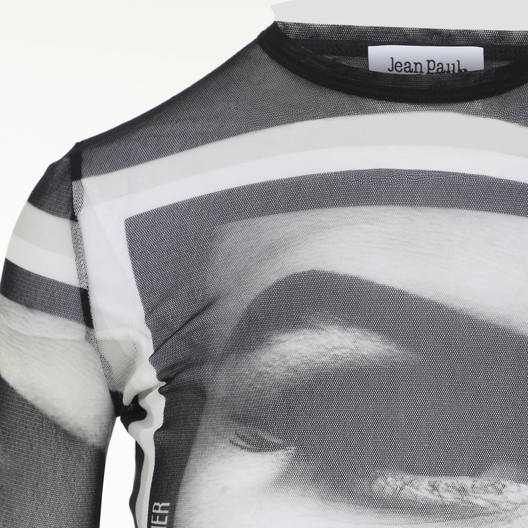 Fitted Long-Sleeve Sheer Mesh Top