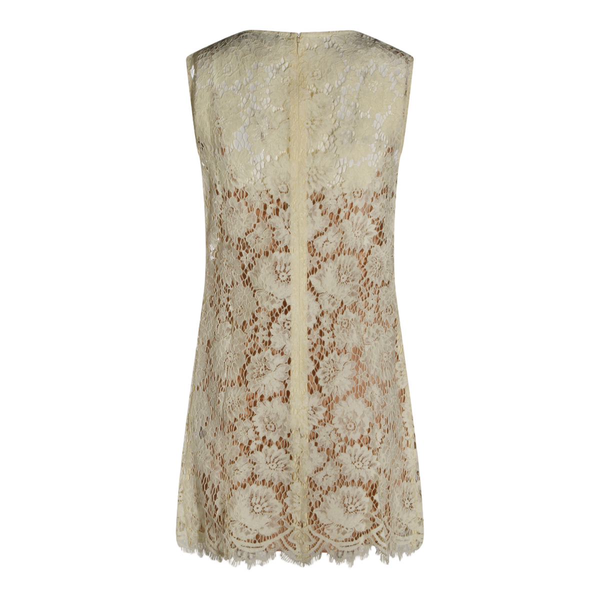 Sleeveless Mini Dress with Floral Lace