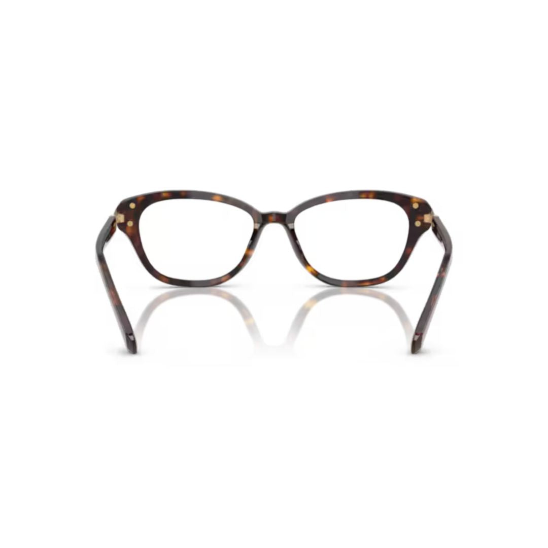 0sk2032 Cat-Eye Tortoiseshell Acetate Sunglasses