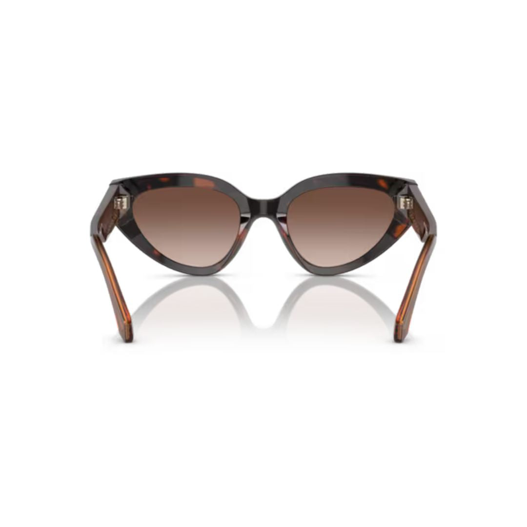 8256 Sole Cat-Eye Tortoiseshell Sunglasses