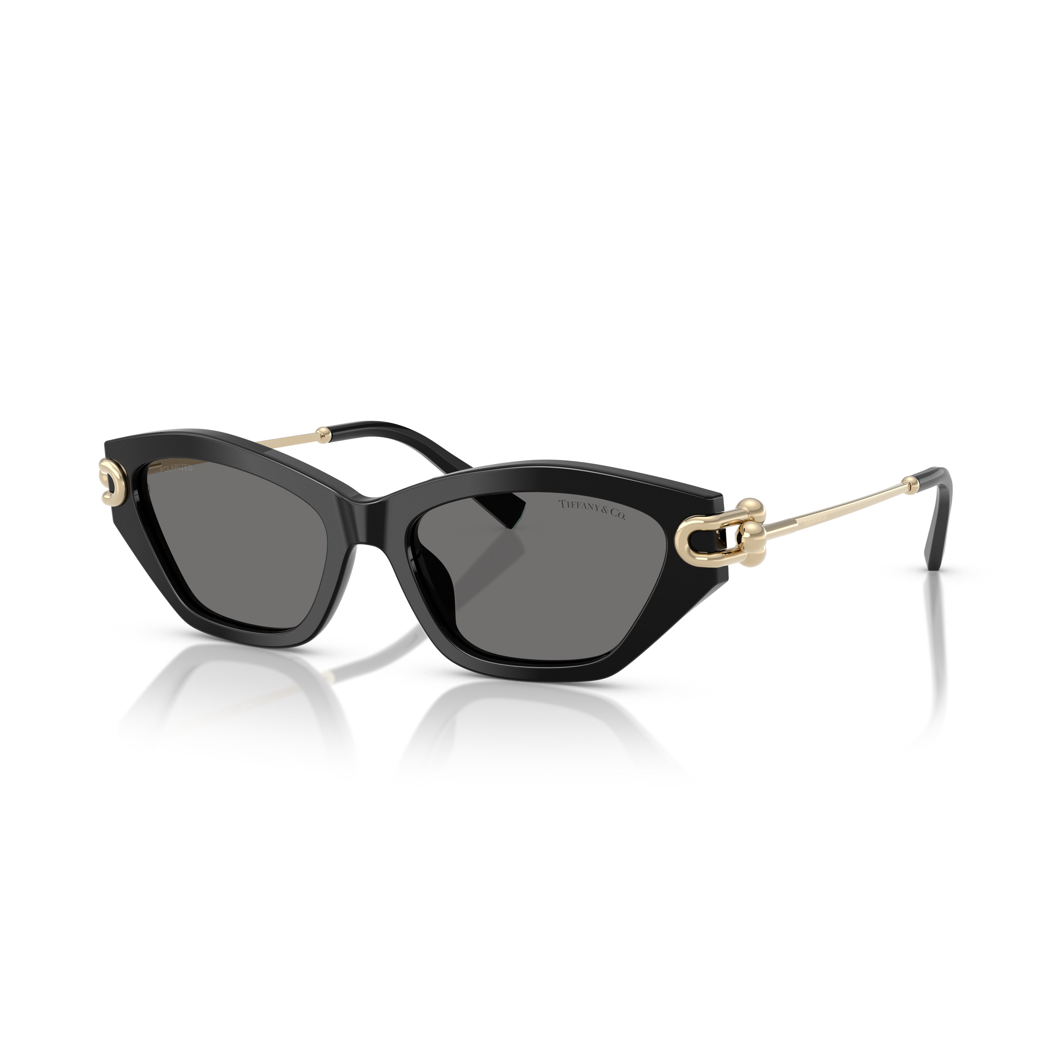 0tf4231u Cat-Eye Sunglasses