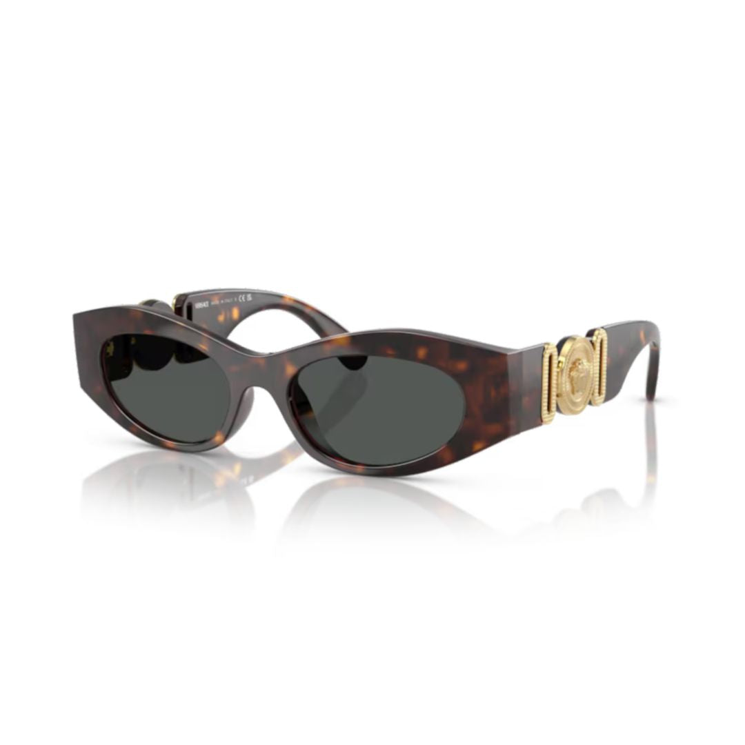 0ve4480u Tortoiseshell-Patterned Oval Sunglasses