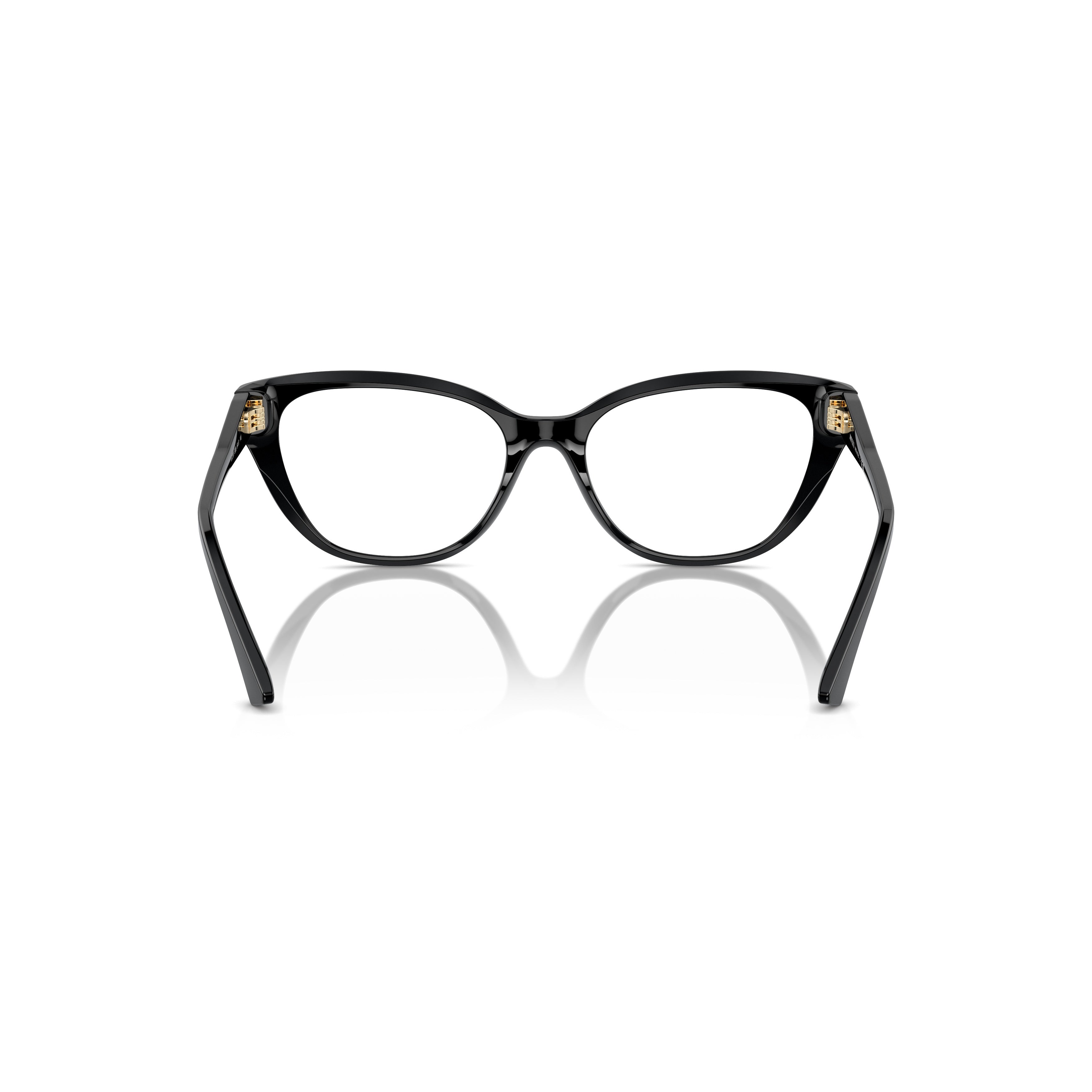 0jc3011 Glossy Black Acetate Cat-Eye Sunglasses