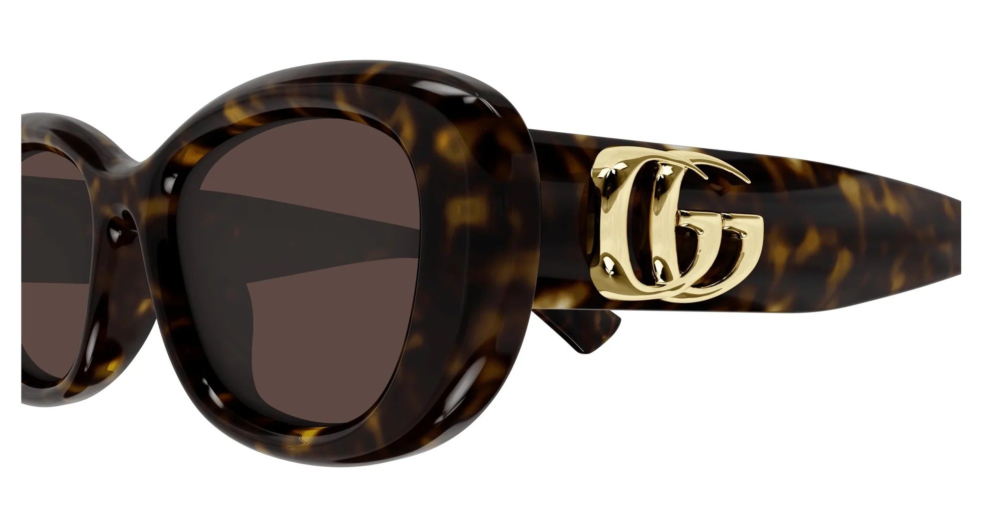 Sunglasses GG1829SK 002 havana havana brown 53/18/145