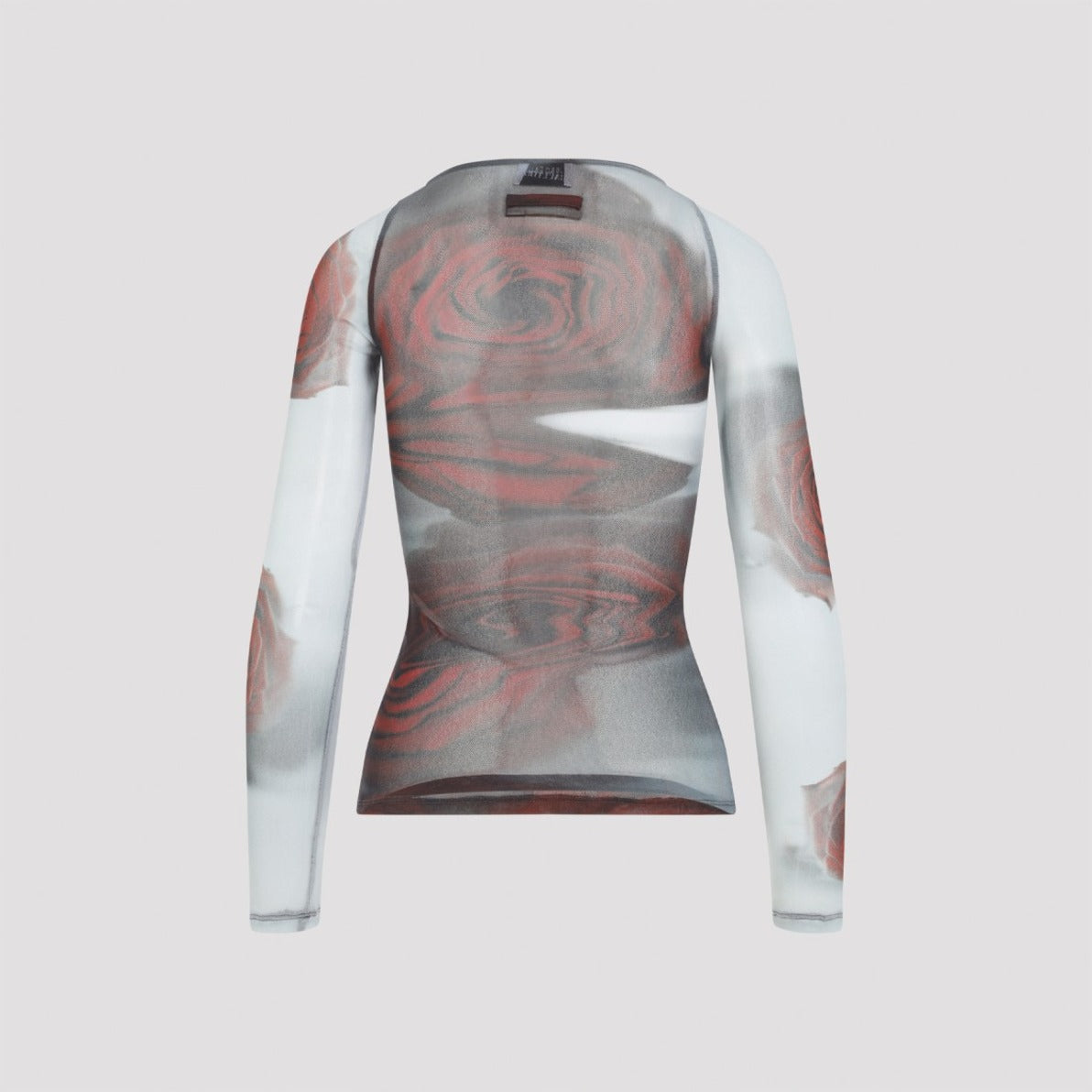 Fitted Long-Sleeved Top With Semi-Sheer Fabric