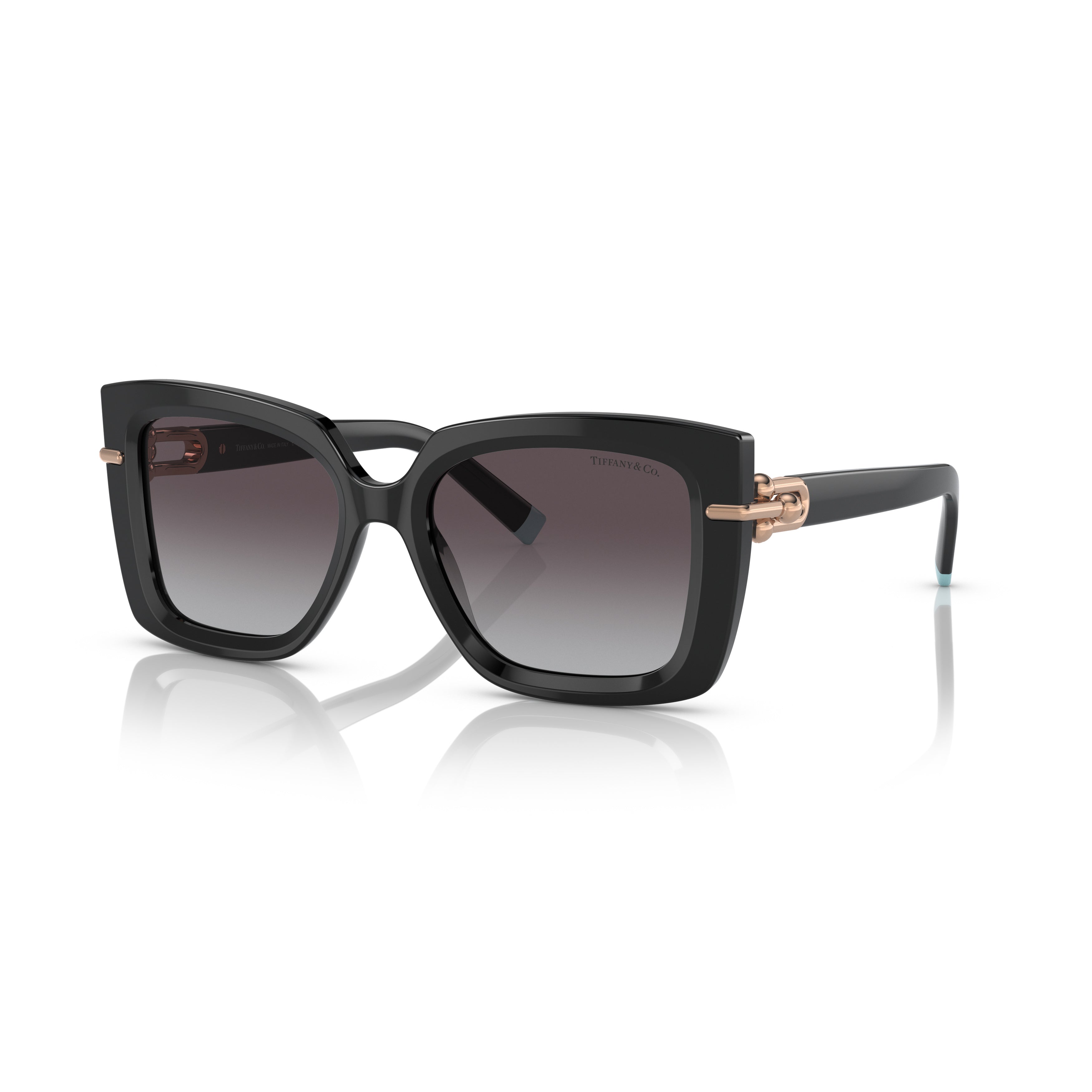 0tf4199 Oversized Square Sunglasses