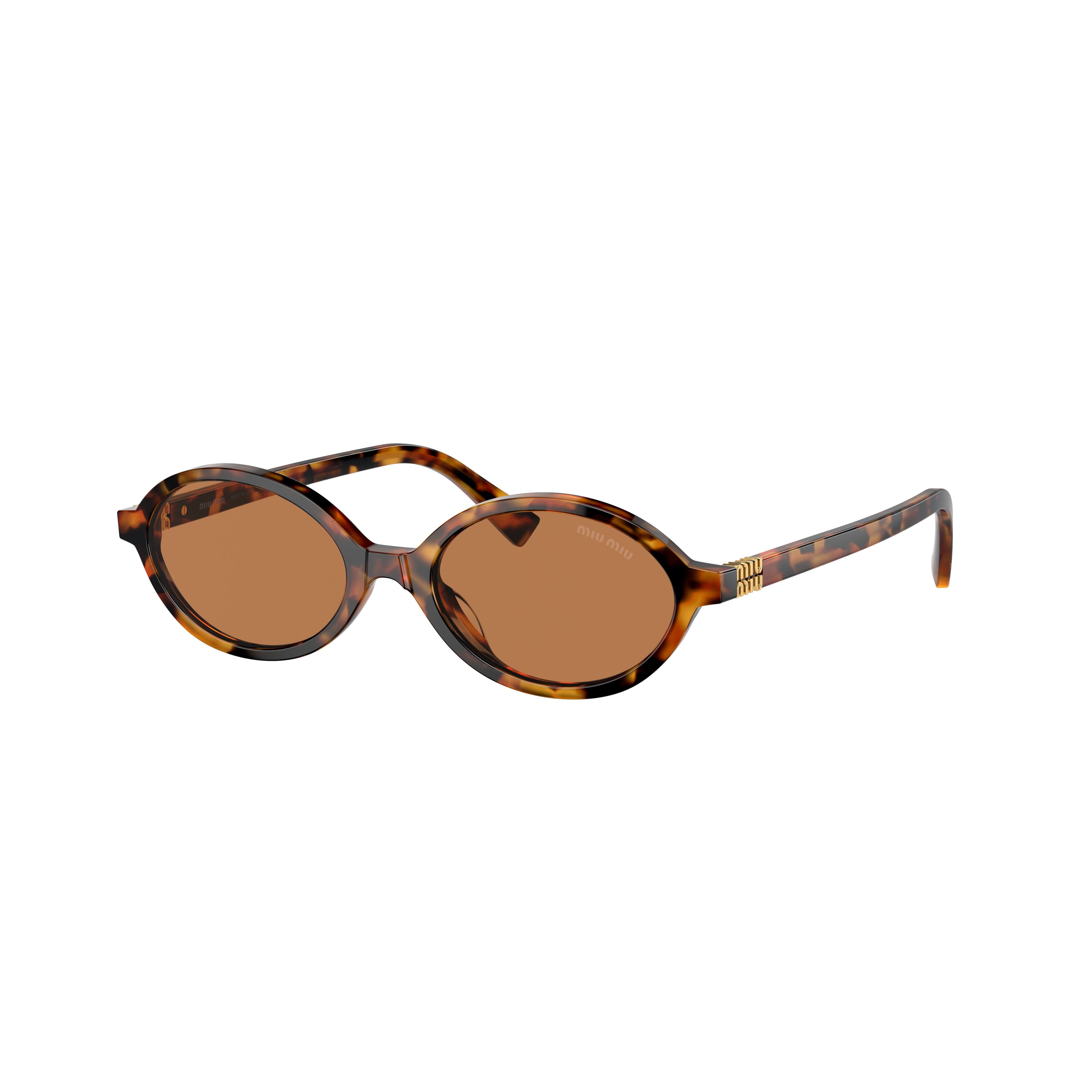 Tortoiseshell Acetate Oval Sunglasses with Gold Accents