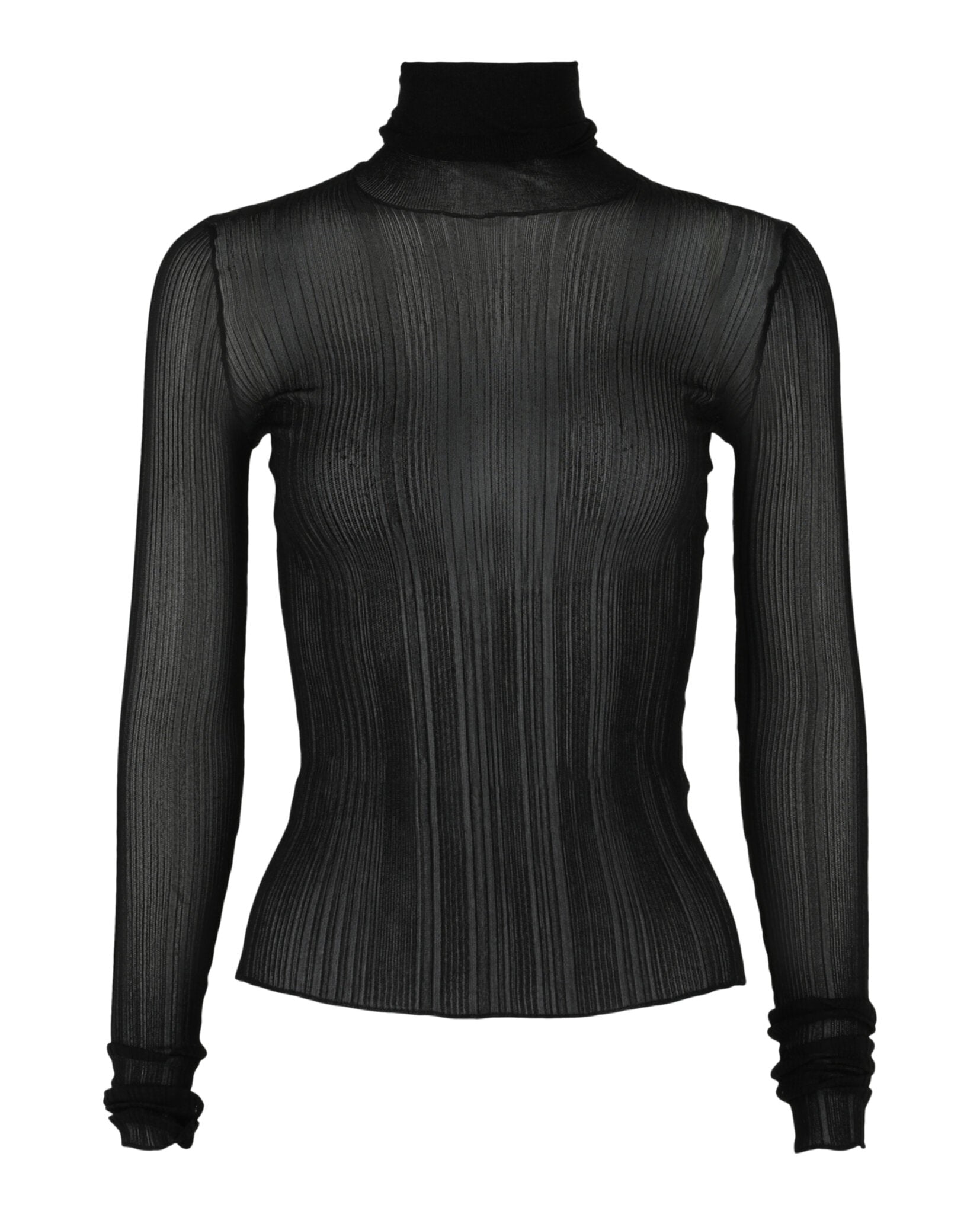 Sheer Stretch Turtleneck