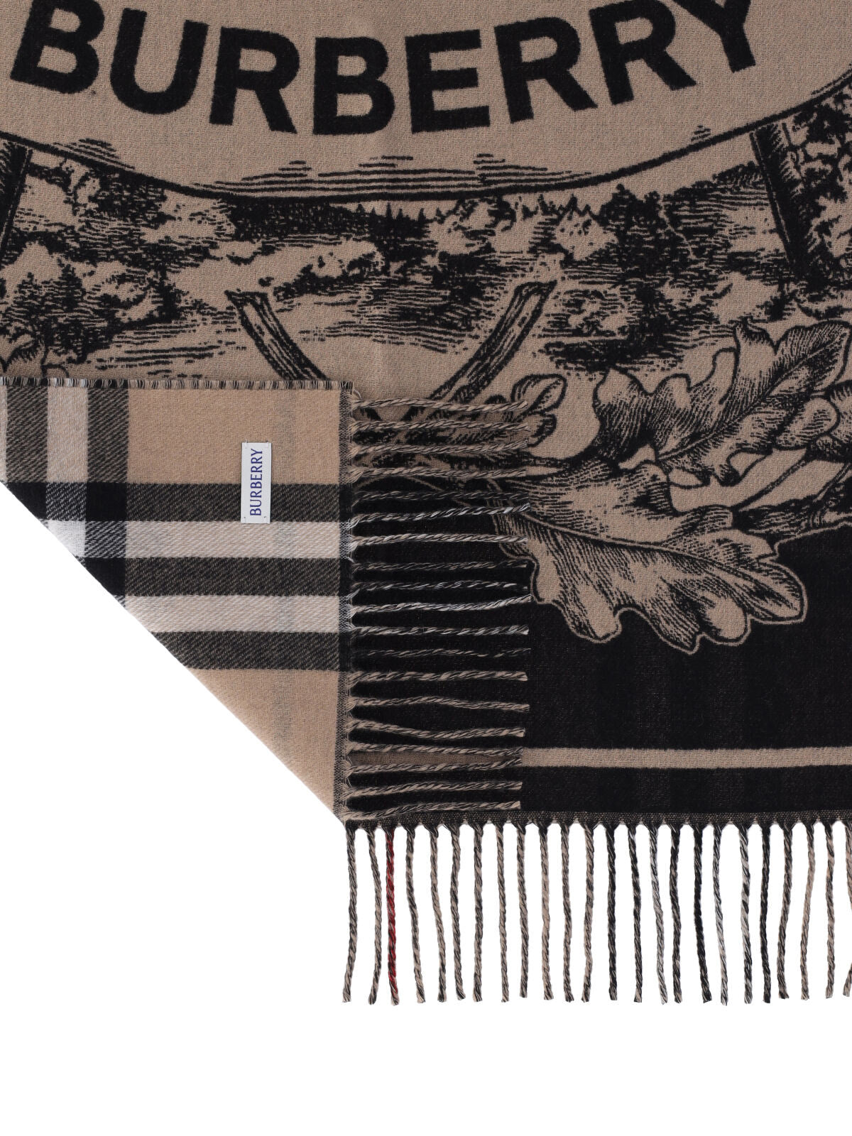 Beige Reversible Check Print Cashmere Scarf