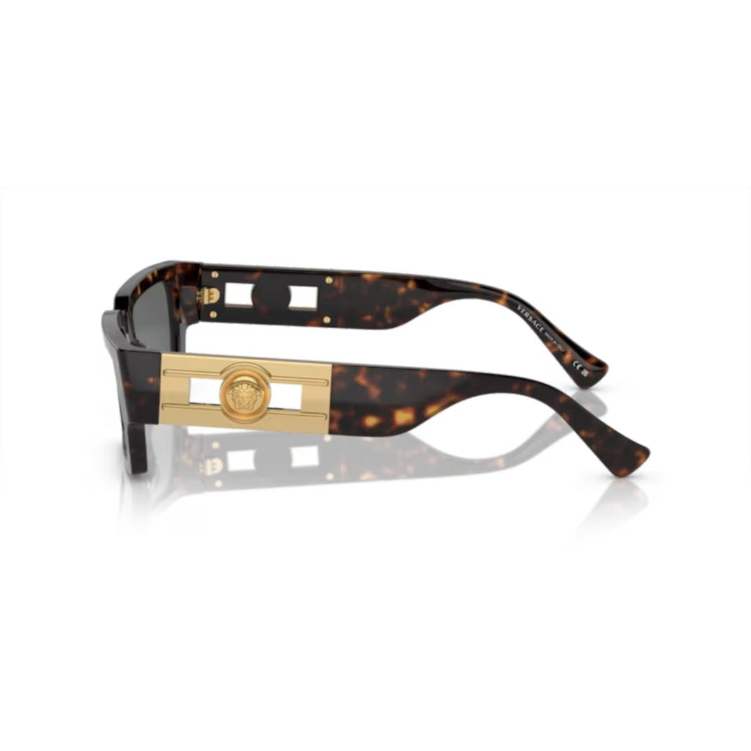 0ve4459 Tortoiseshell Acetate Sunglasses