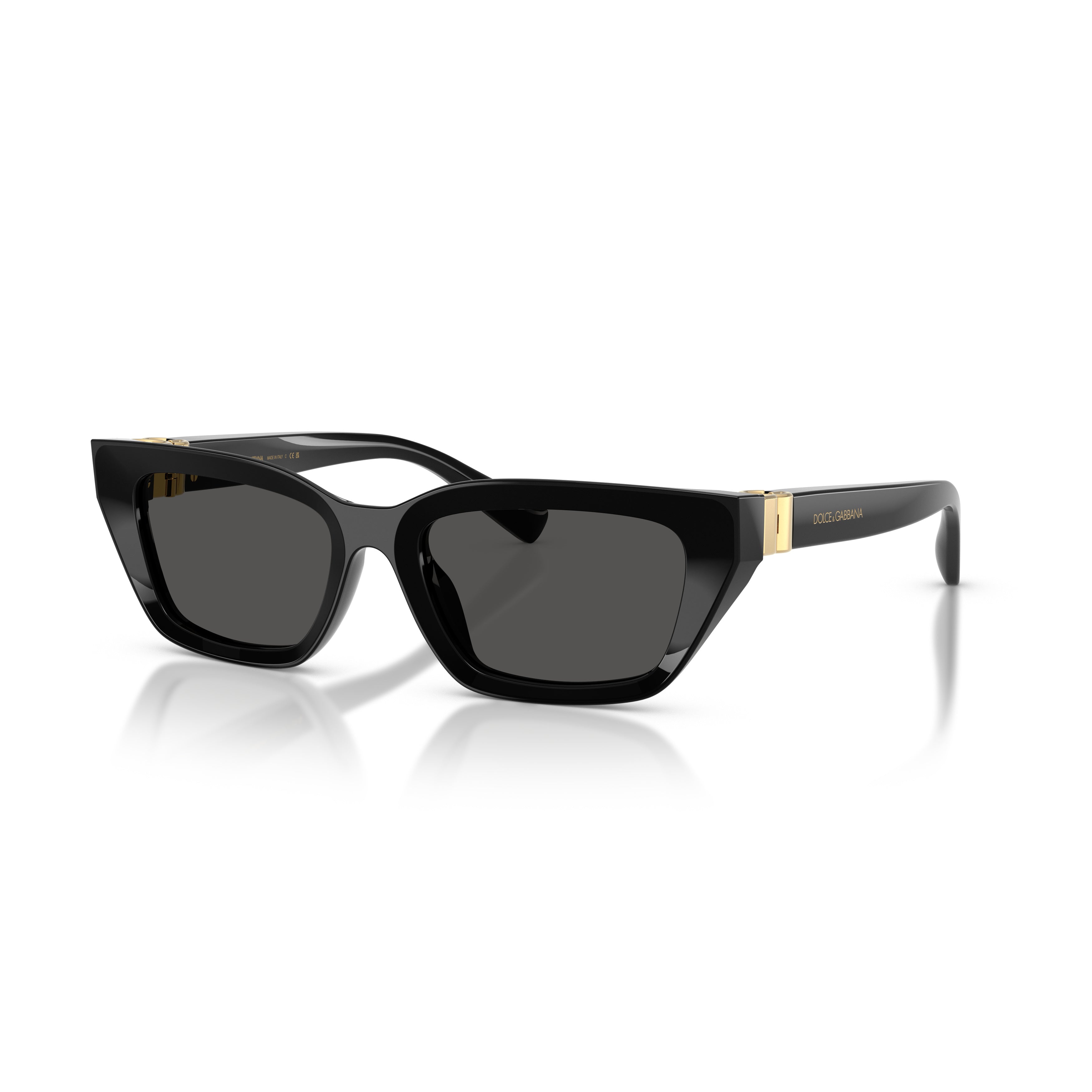 0dg4532 Rectangular Sunglasses with Glossy Black Frame
