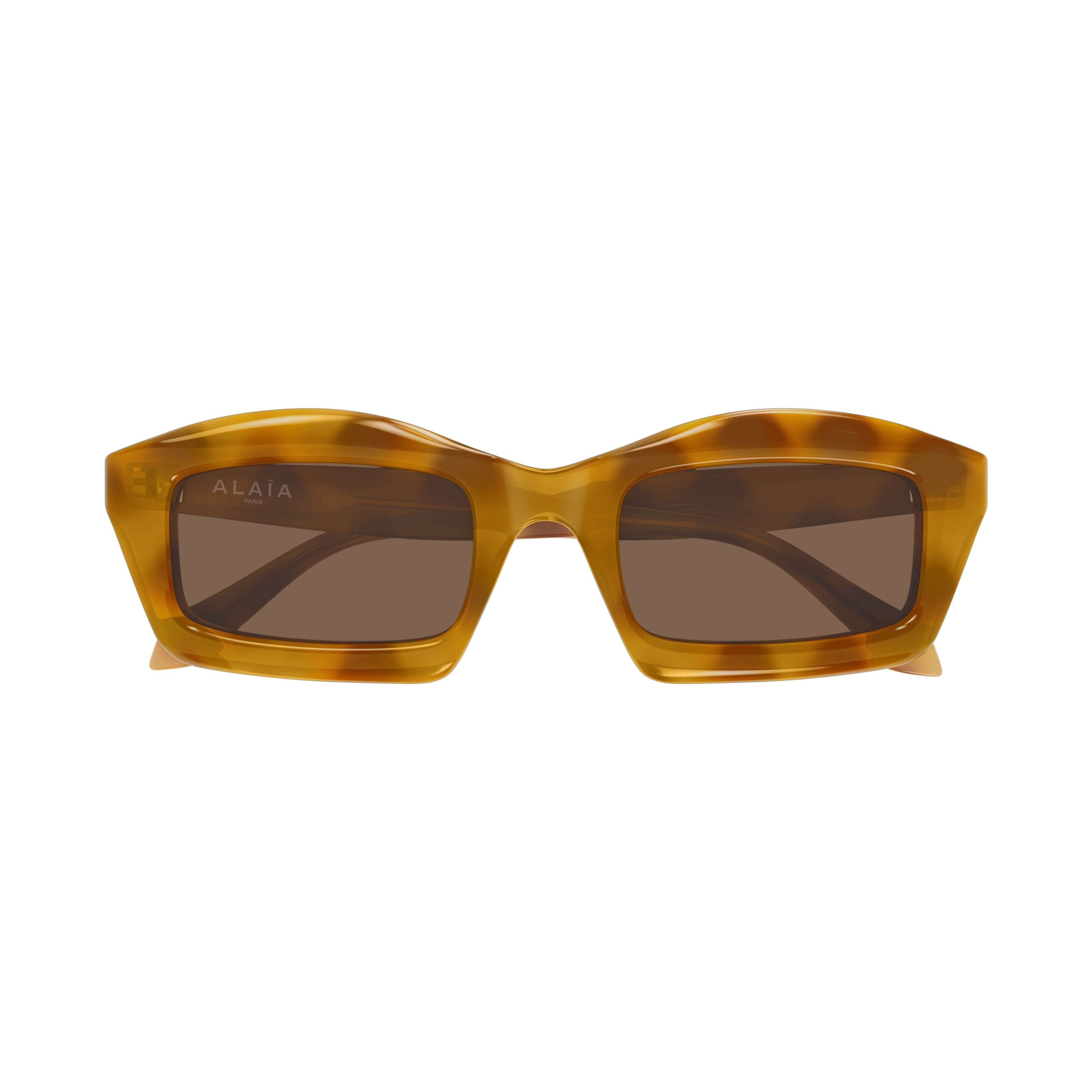Aa0089s Oversized Square Tortoiseshell Sunglasses with Glossy Finish