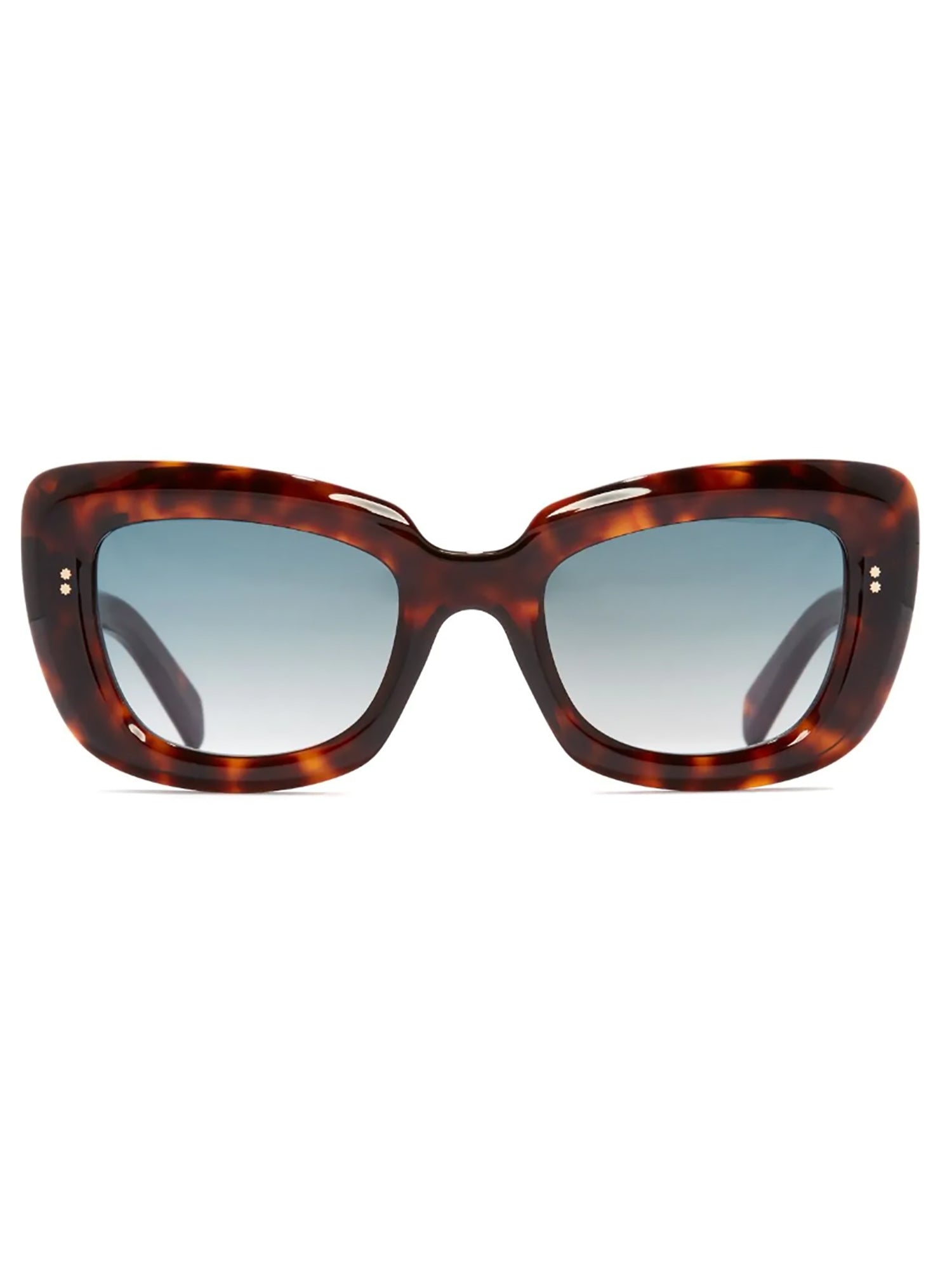 Oversized Tortoiseshell Frame Sunglasses