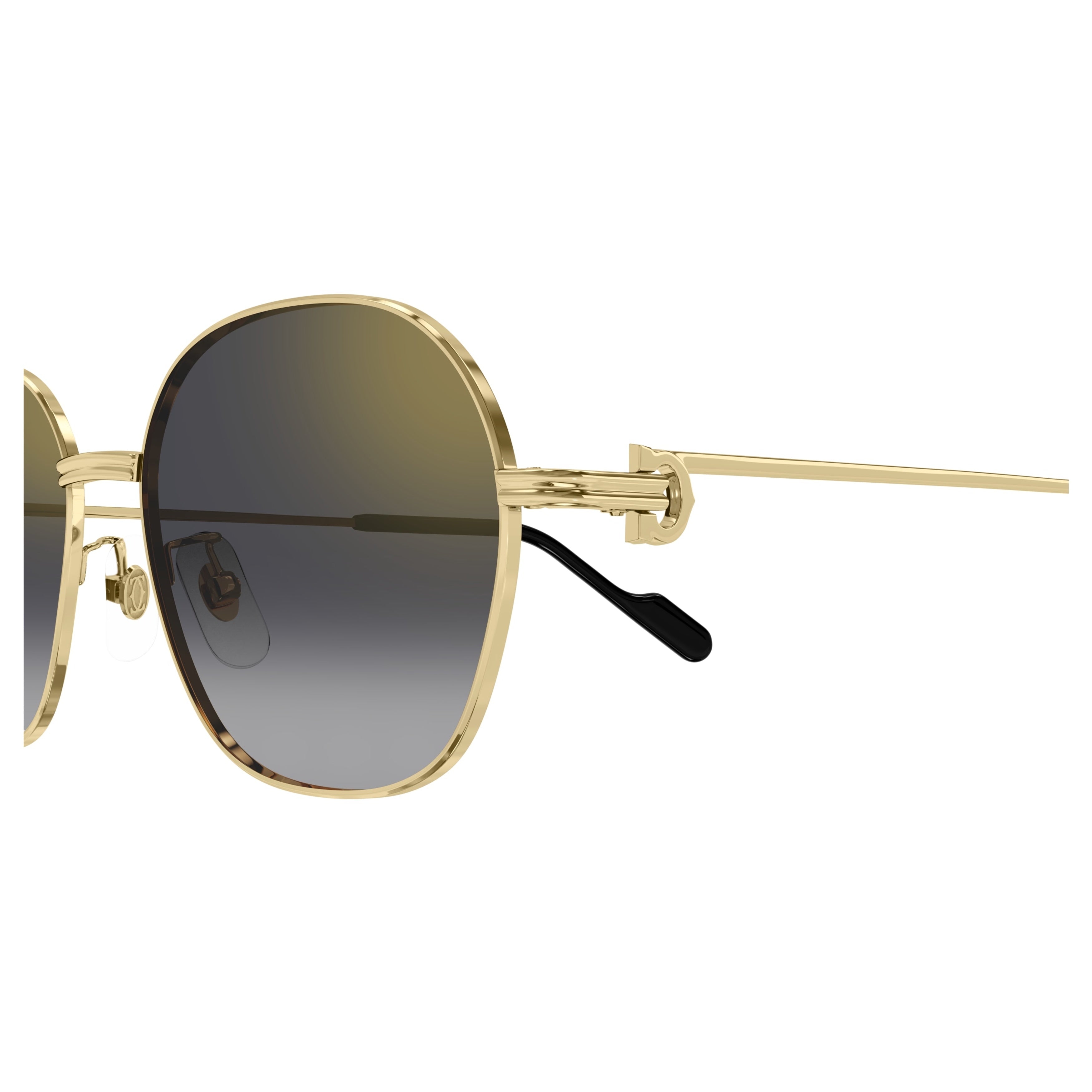 Ct0569sa Thin Gold Metal Frame Sunglasses