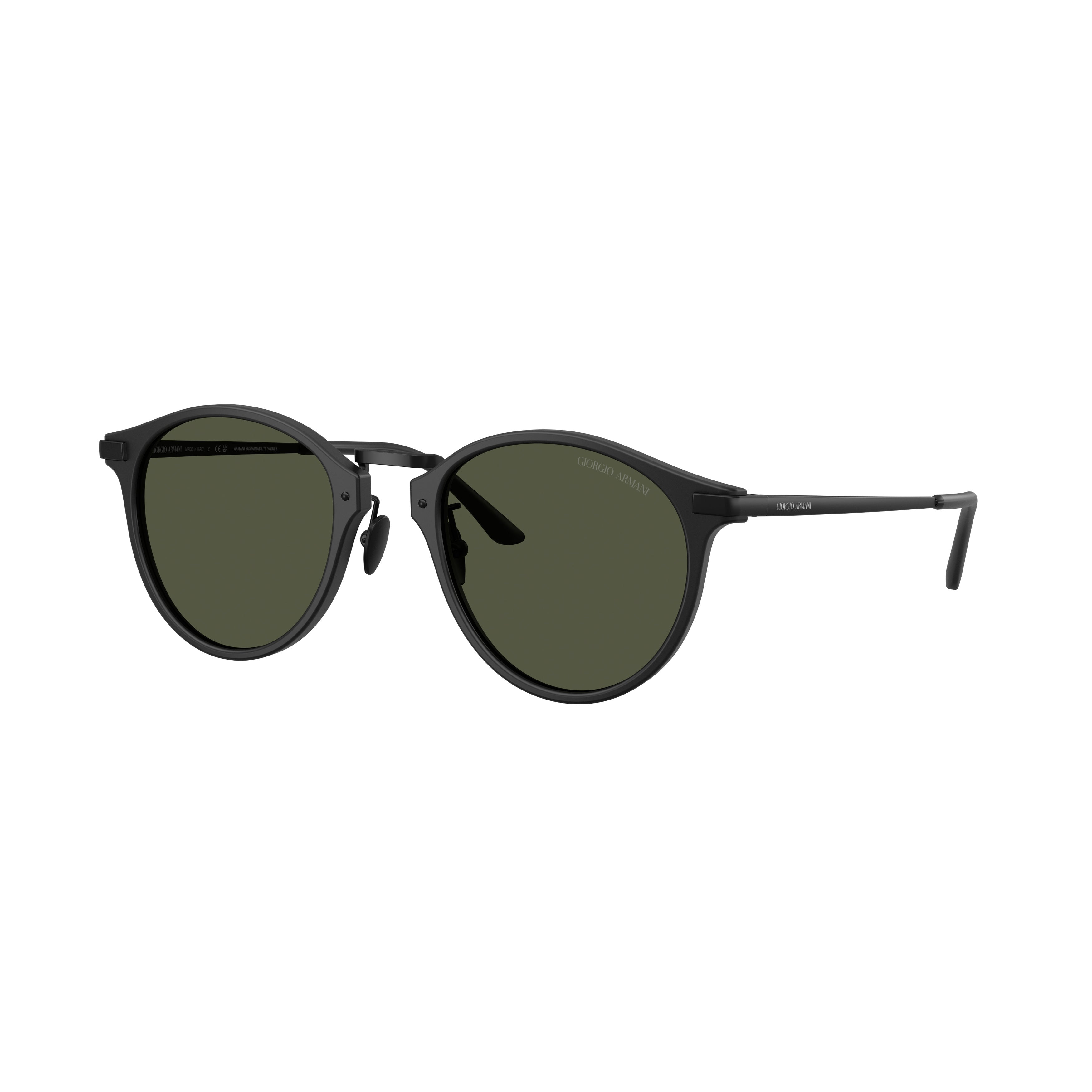 0ar8250 Round Frame Acetate Sunglasses with Thin Bridge