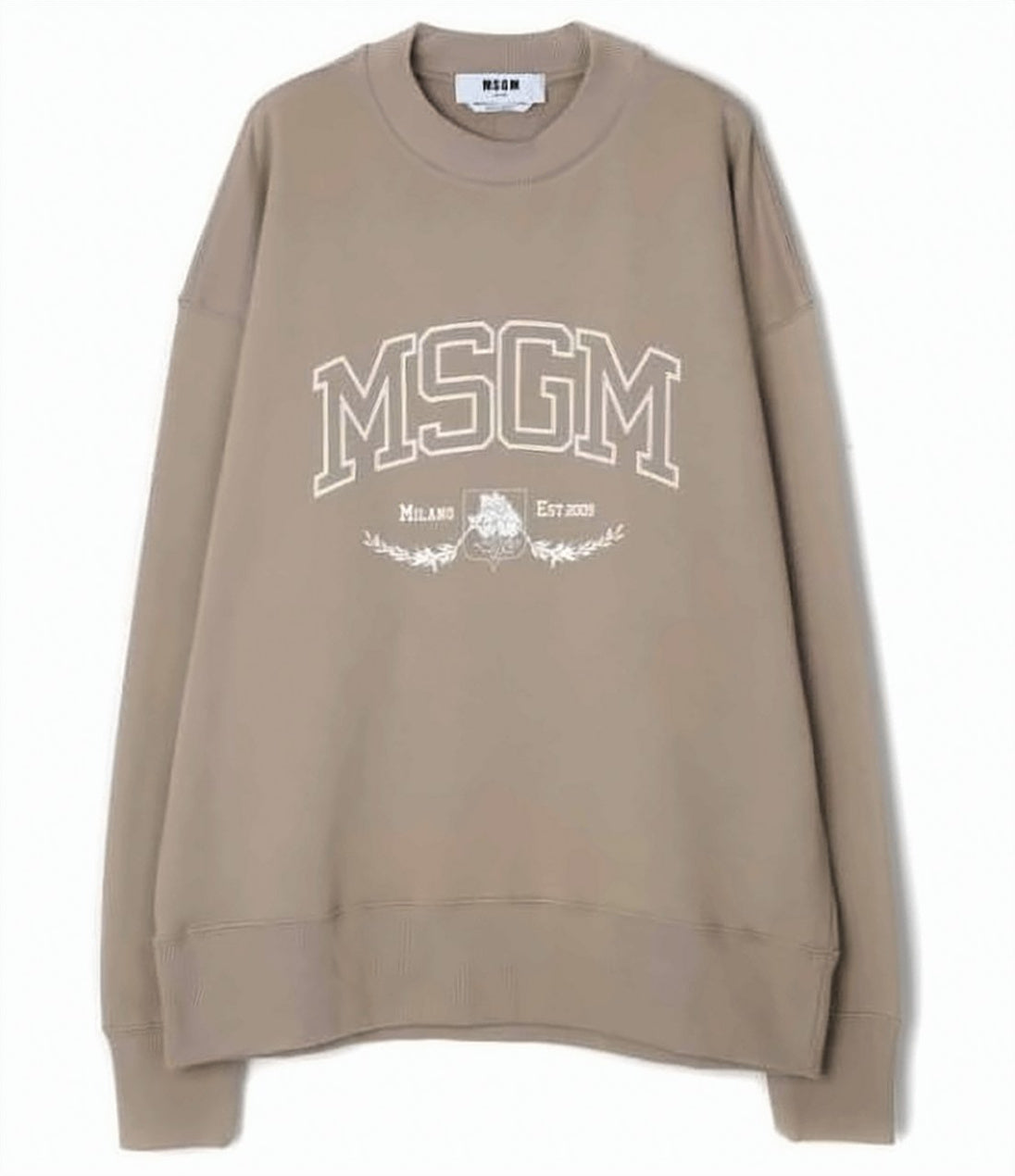 Relaxed Fit Long-Sleeve Sweatshirt