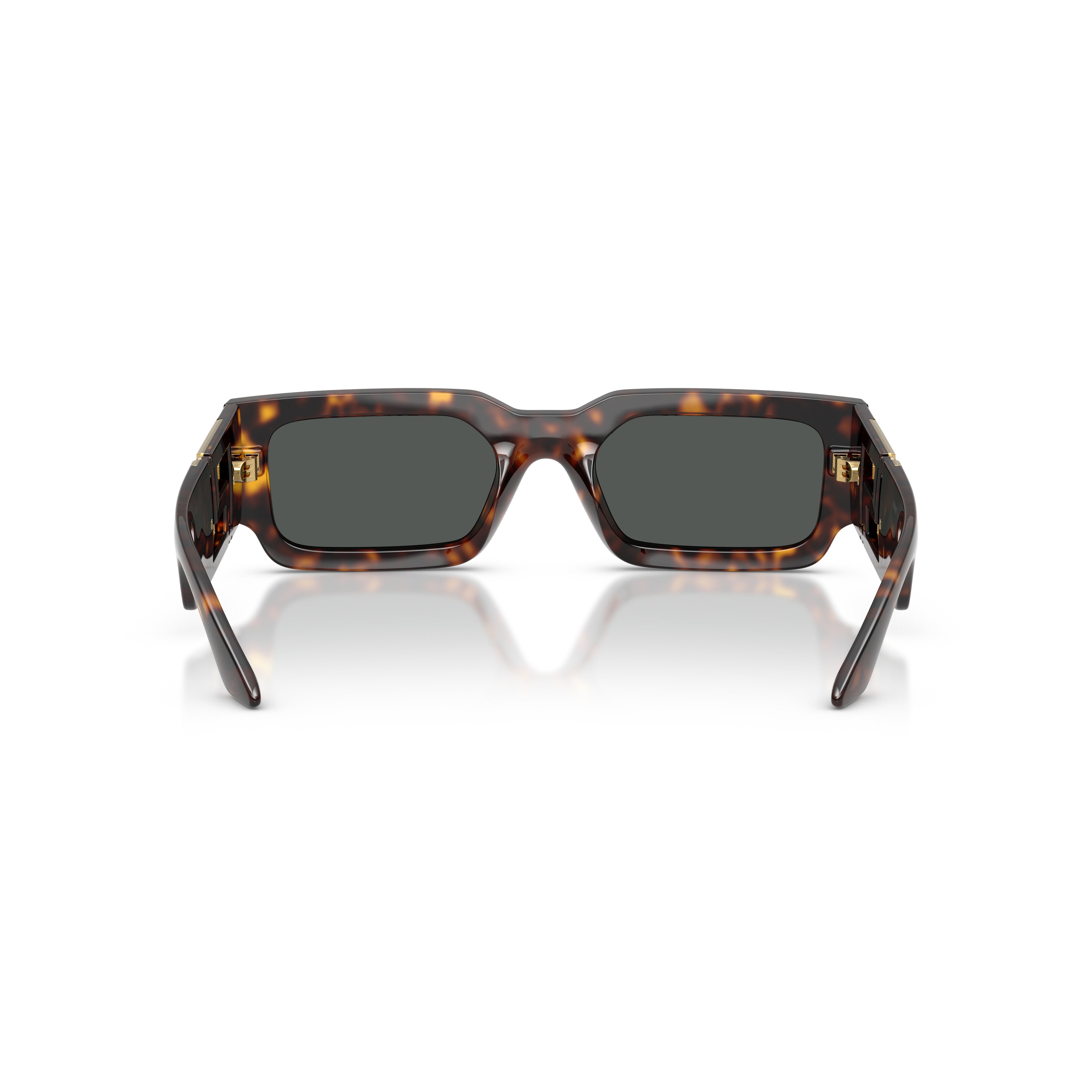 0ve4506u Tortoiseshell Sunglasses