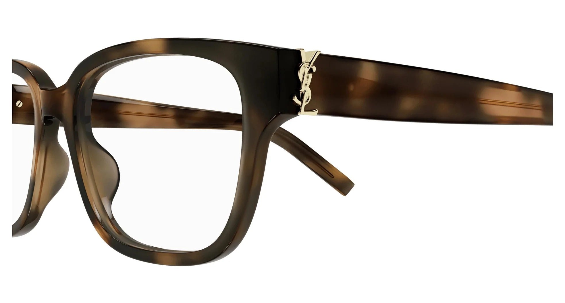 Eyeglasses Saint Laurent SL M150/F 003 Havana Havana Transpa 55/17/145
