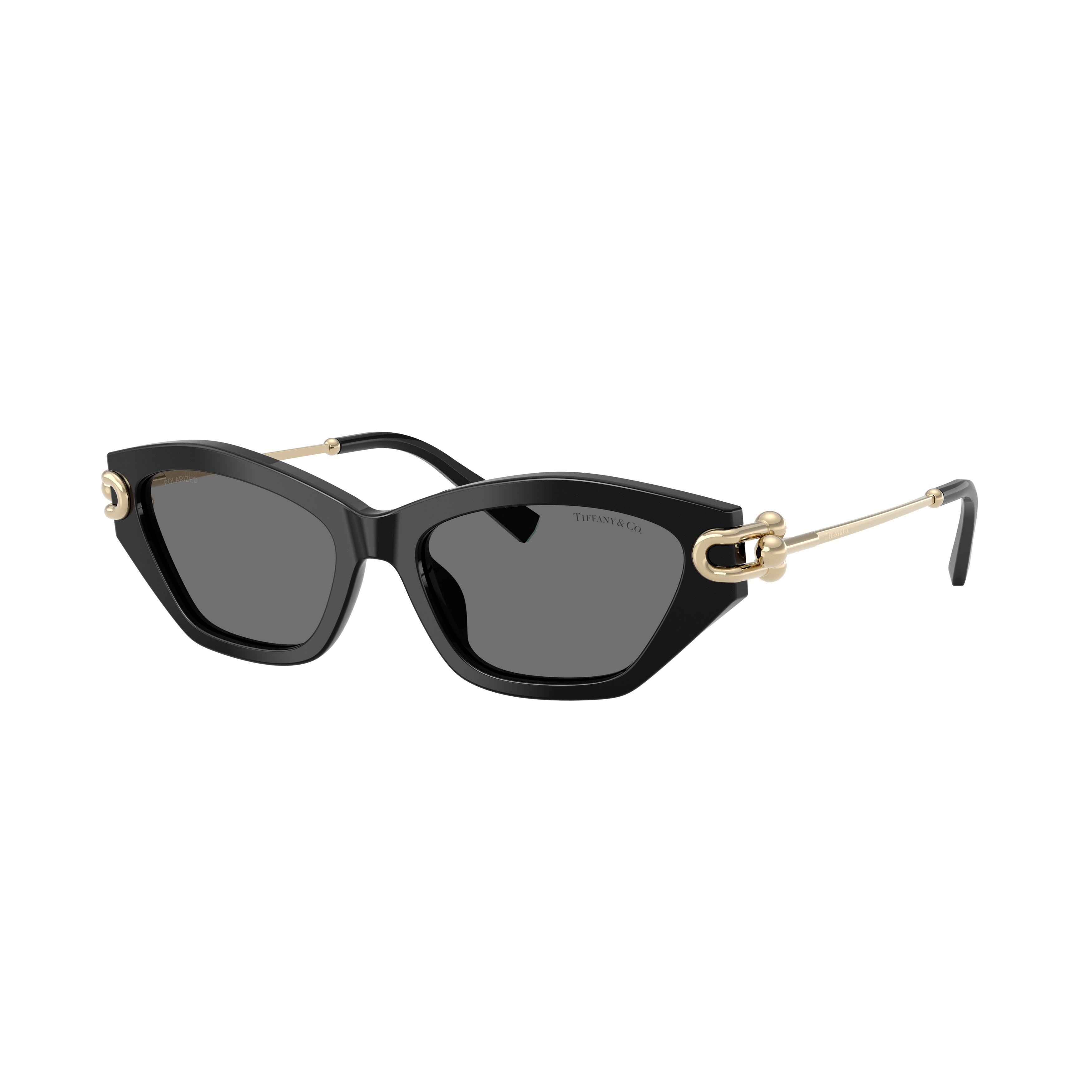 0tf4231u Cat-Eye Sunglasses