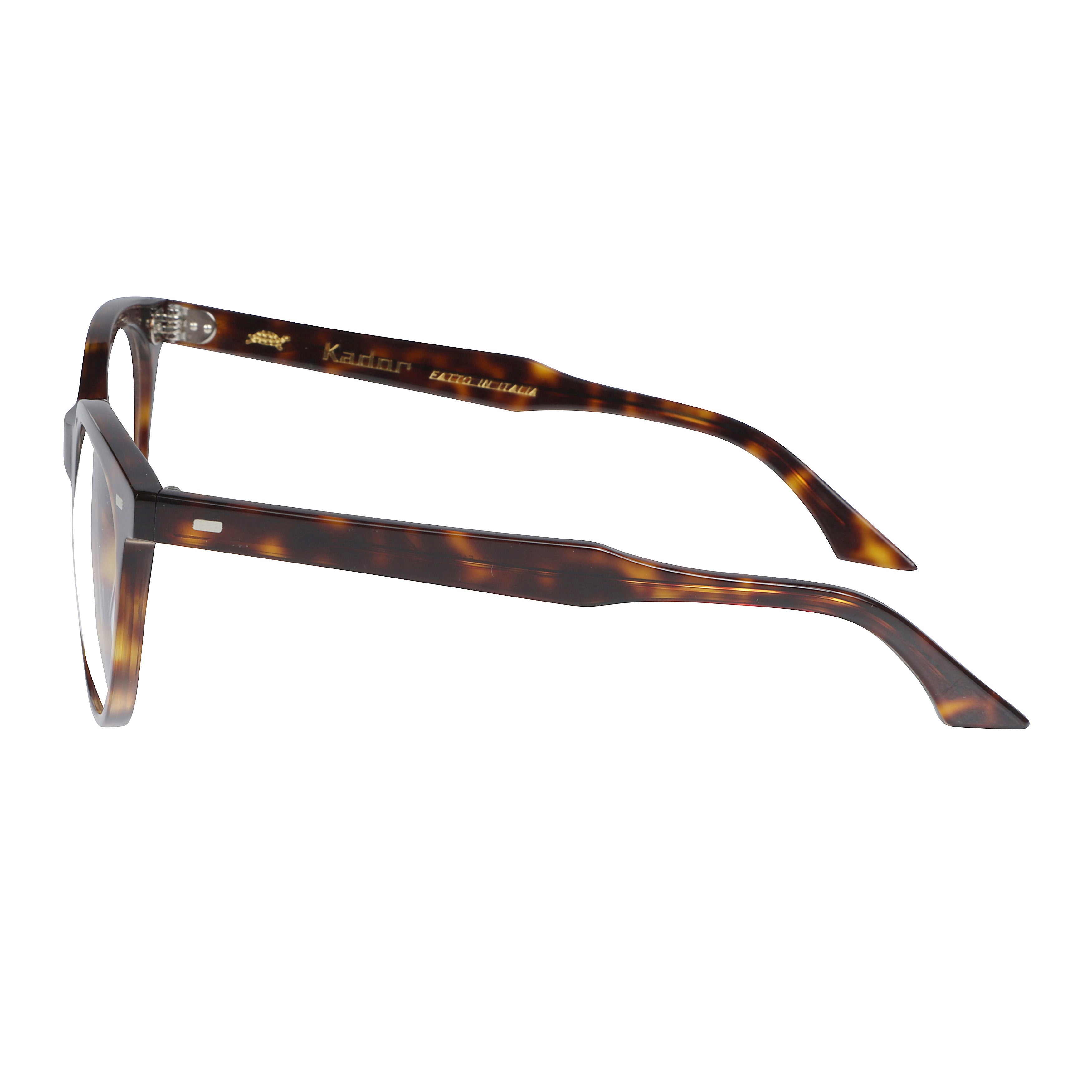 Cynda Classic Round Tortoiseshell Eyeglasses with Metallic Accents