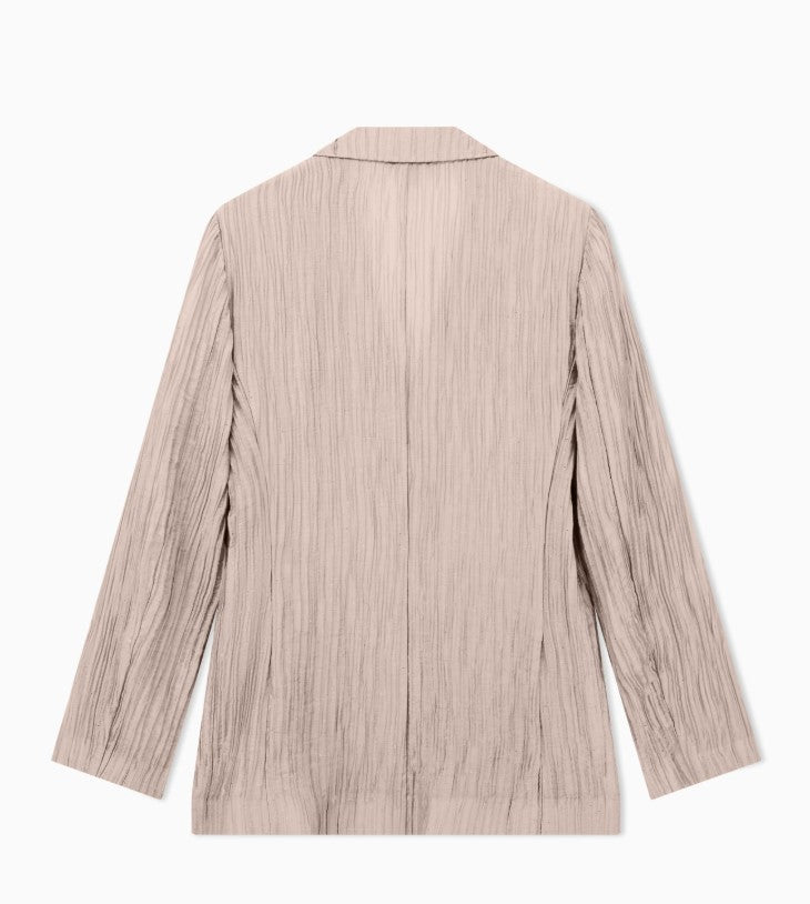 Single Breasted Sparkling Creponne Lapel Jacket
