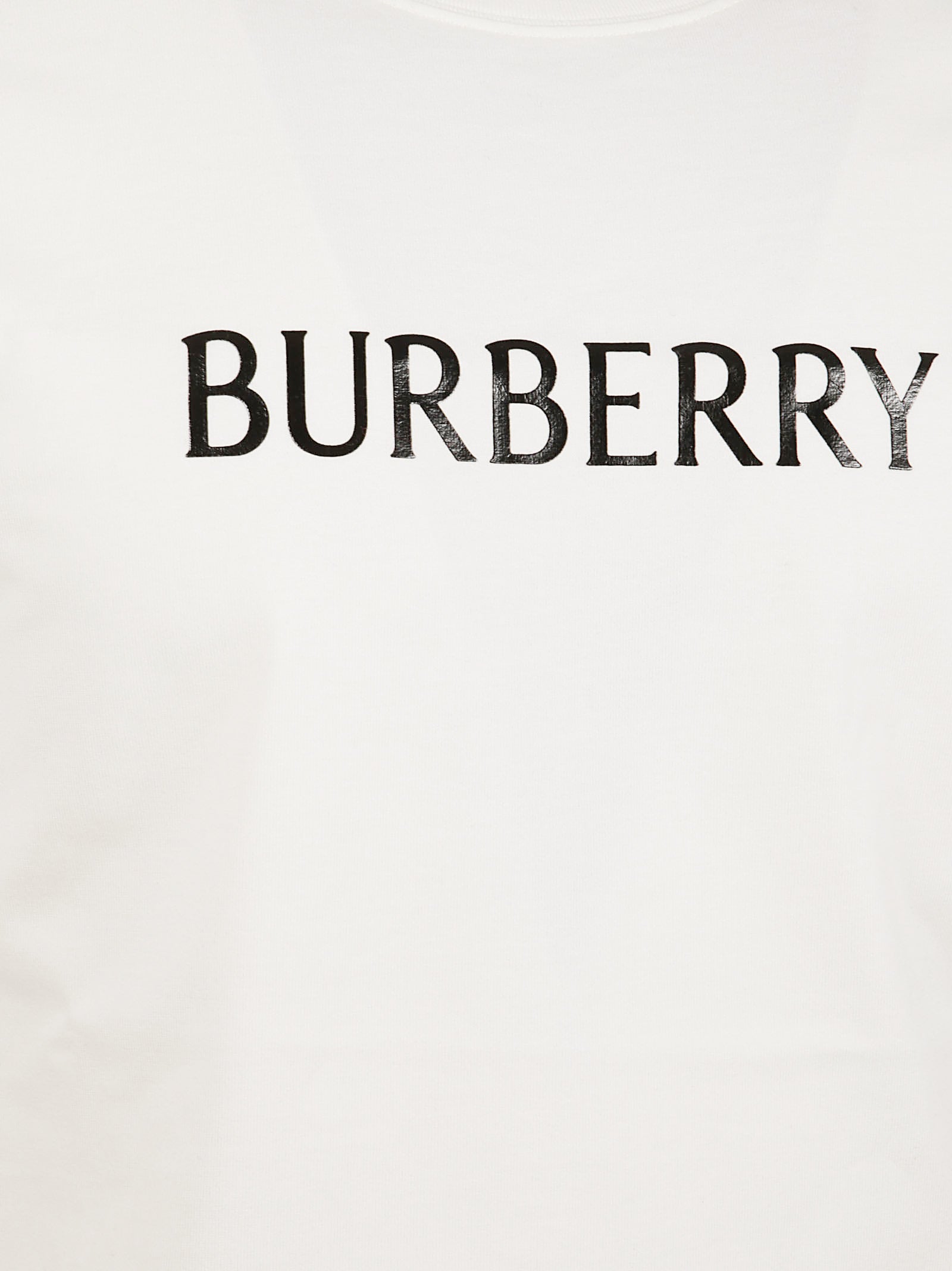 Slim Fit Lightweight Cotton T-Shirt