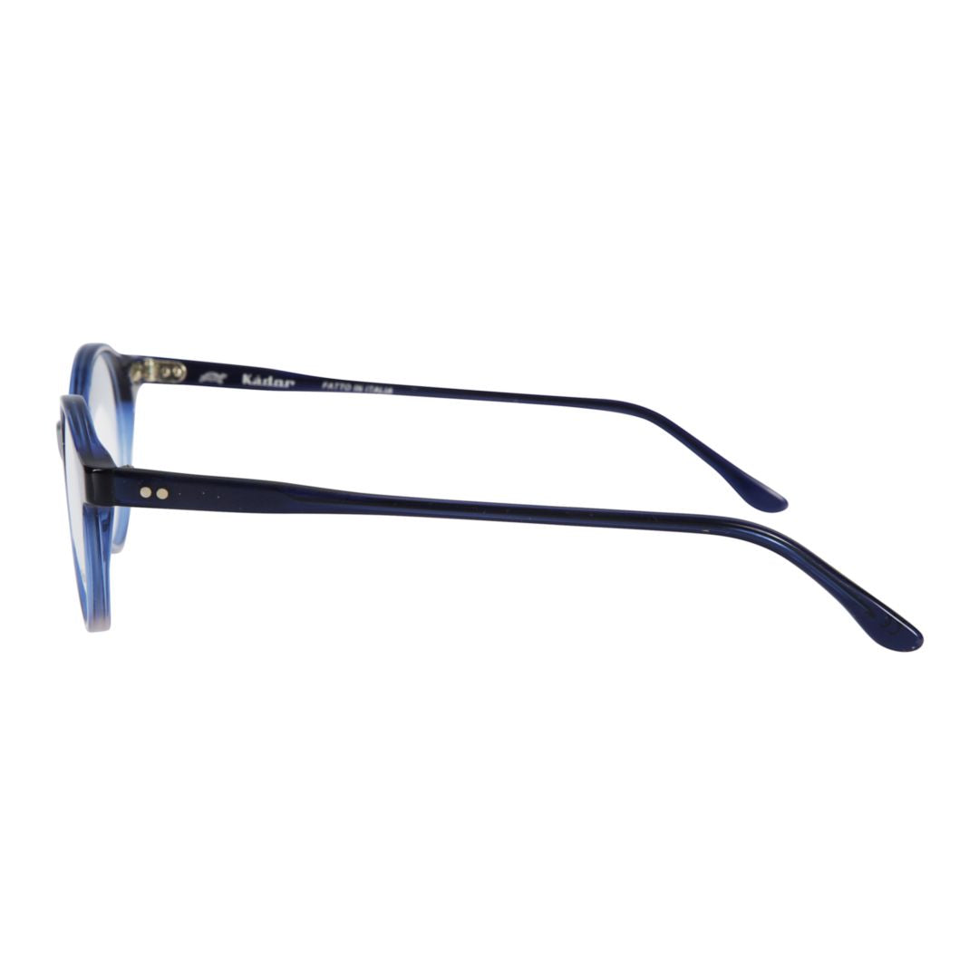 Panto Classic Round Frame Panto Sunglasses with Glossy Finish