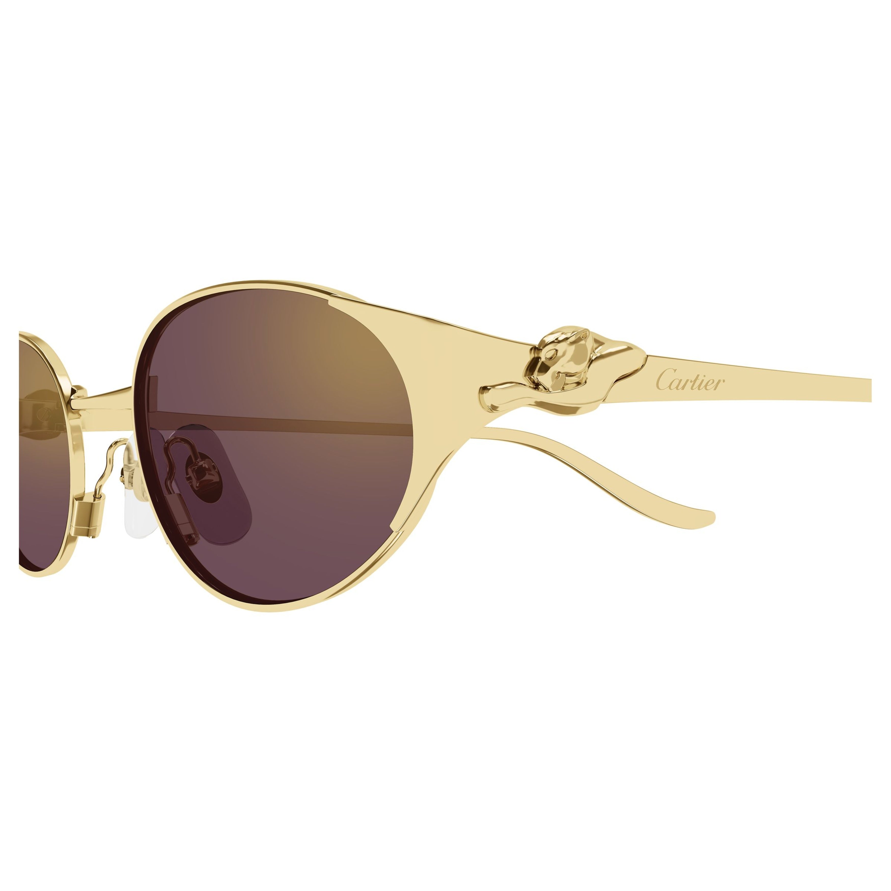 Ct0630s Oval-Frame Sunglasses
