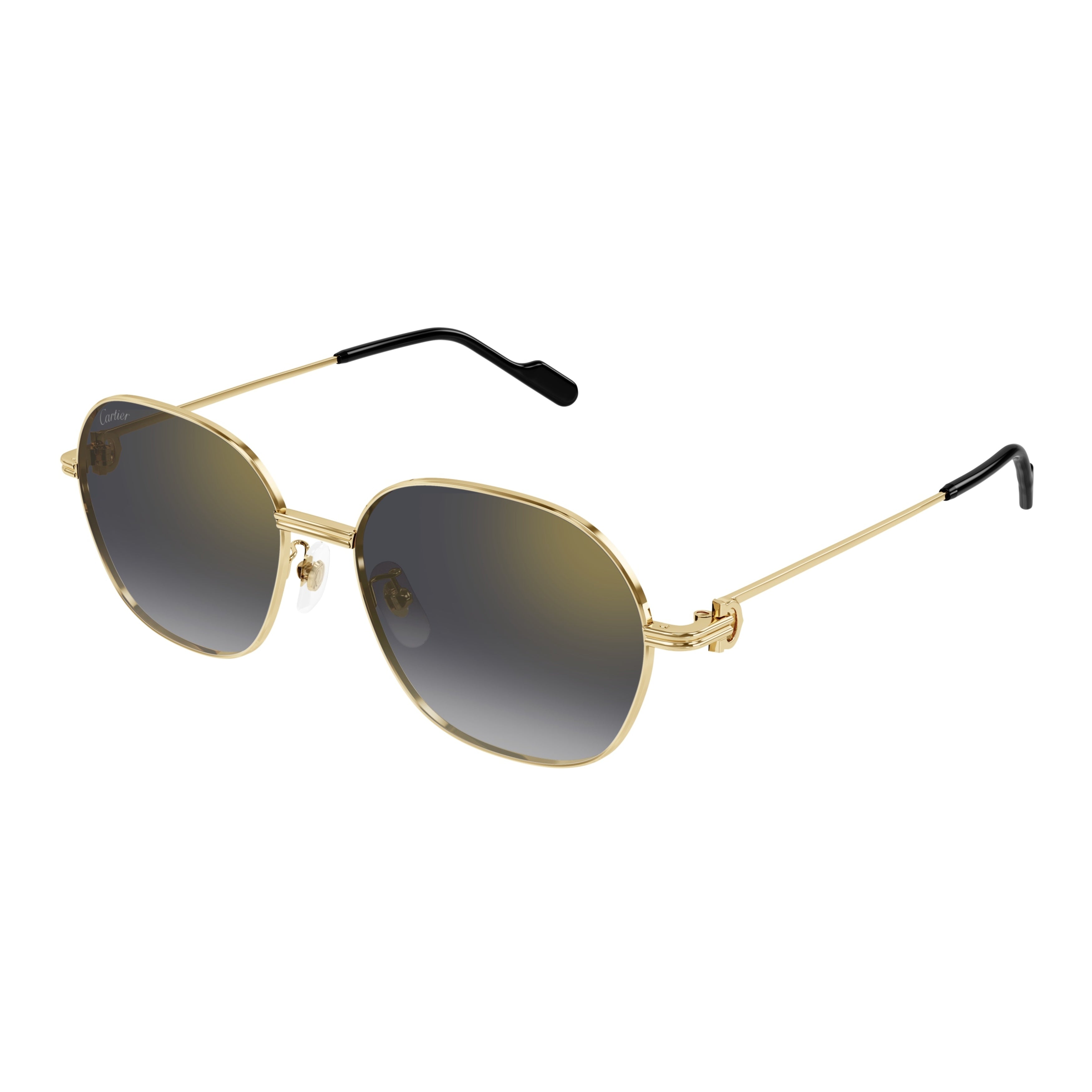 Ct0569sa Thin Gold Metal Frame Sunglasses